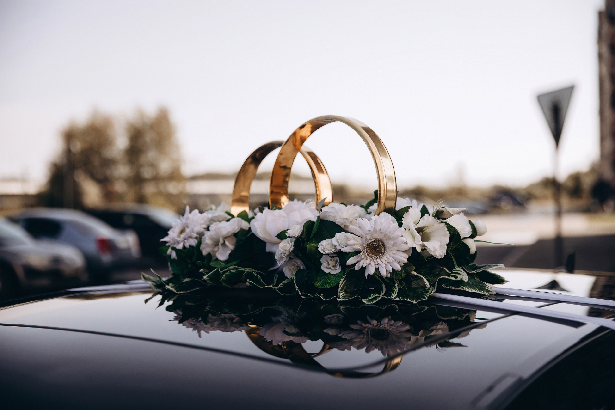 Лилия и Сергей. Фотограф Марина Пантелеева