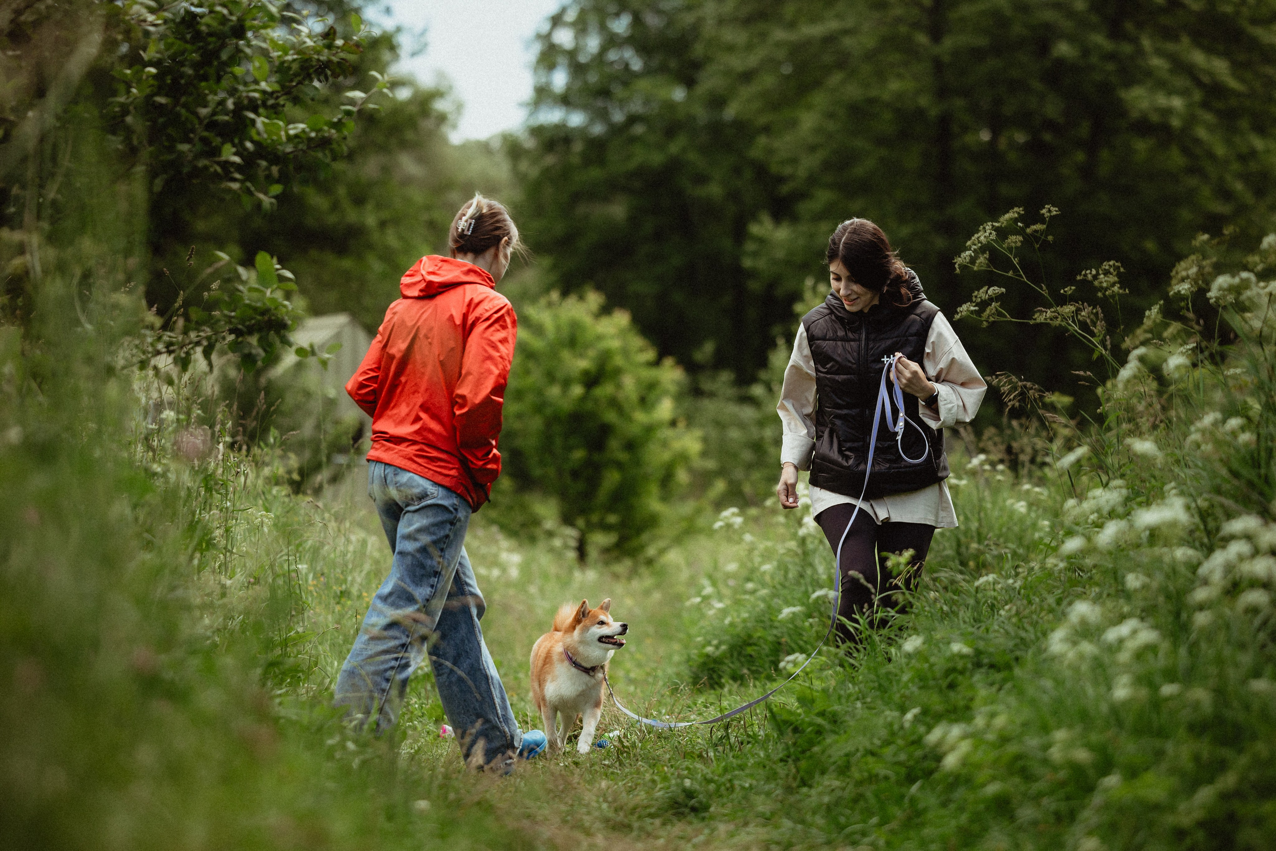 Выездной дог-тренинг от школы «Шерсть имею»