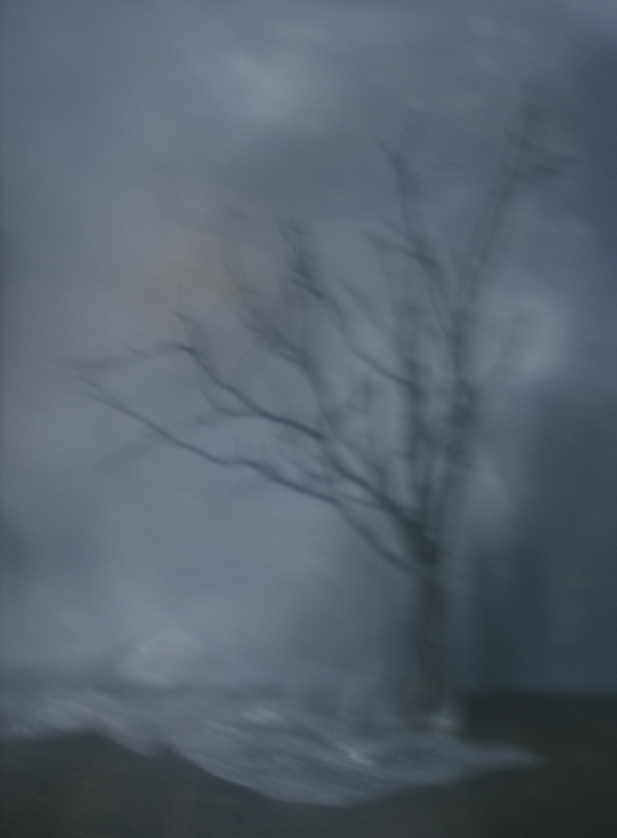 Фотографии — участники выставок и публикации. Портретный и свадебный фотограф в Пушкине и Санкт-Петербурге