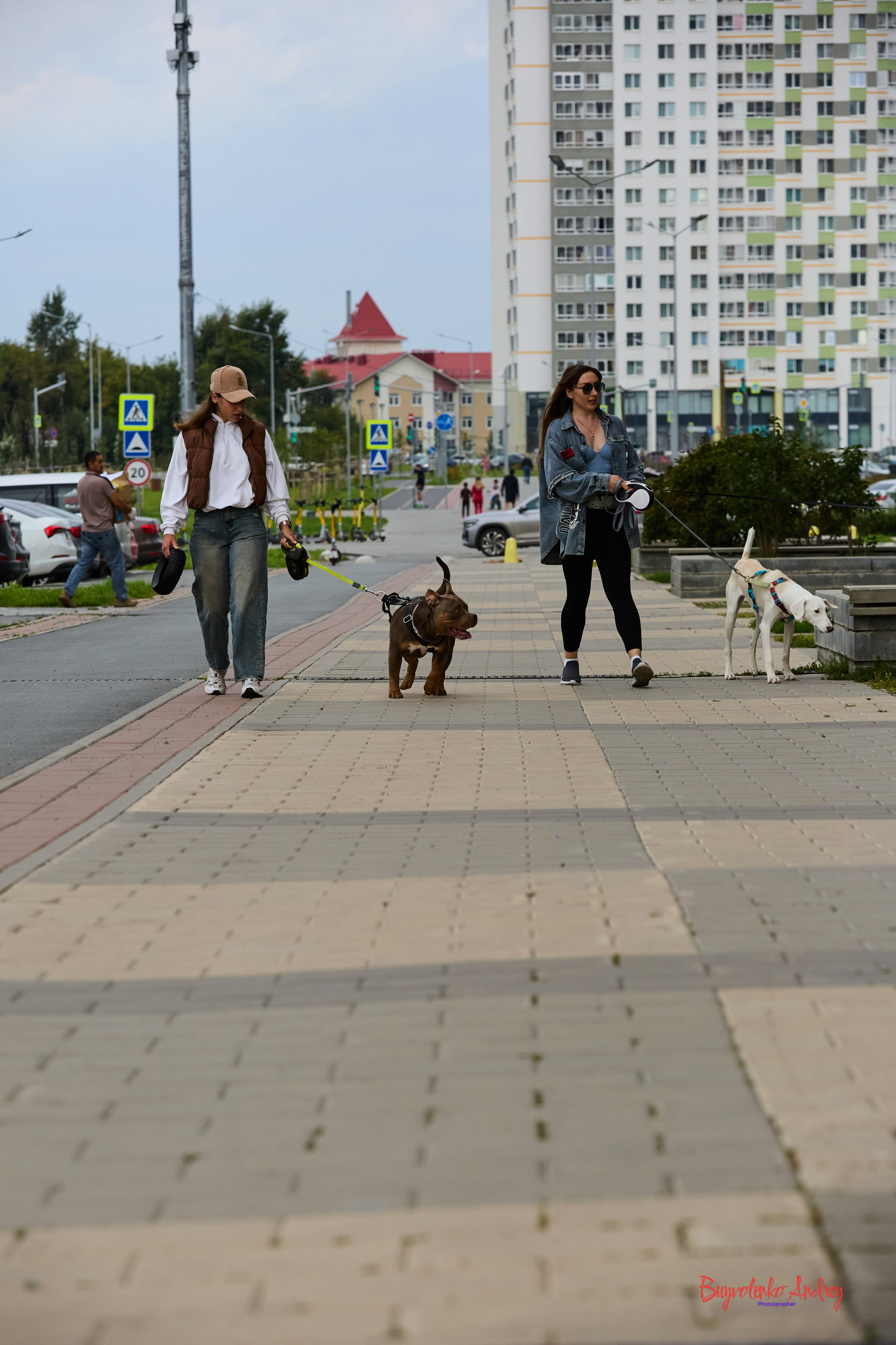 Проект фотопрогулка с хвостиком. Buyvolenko Andrey