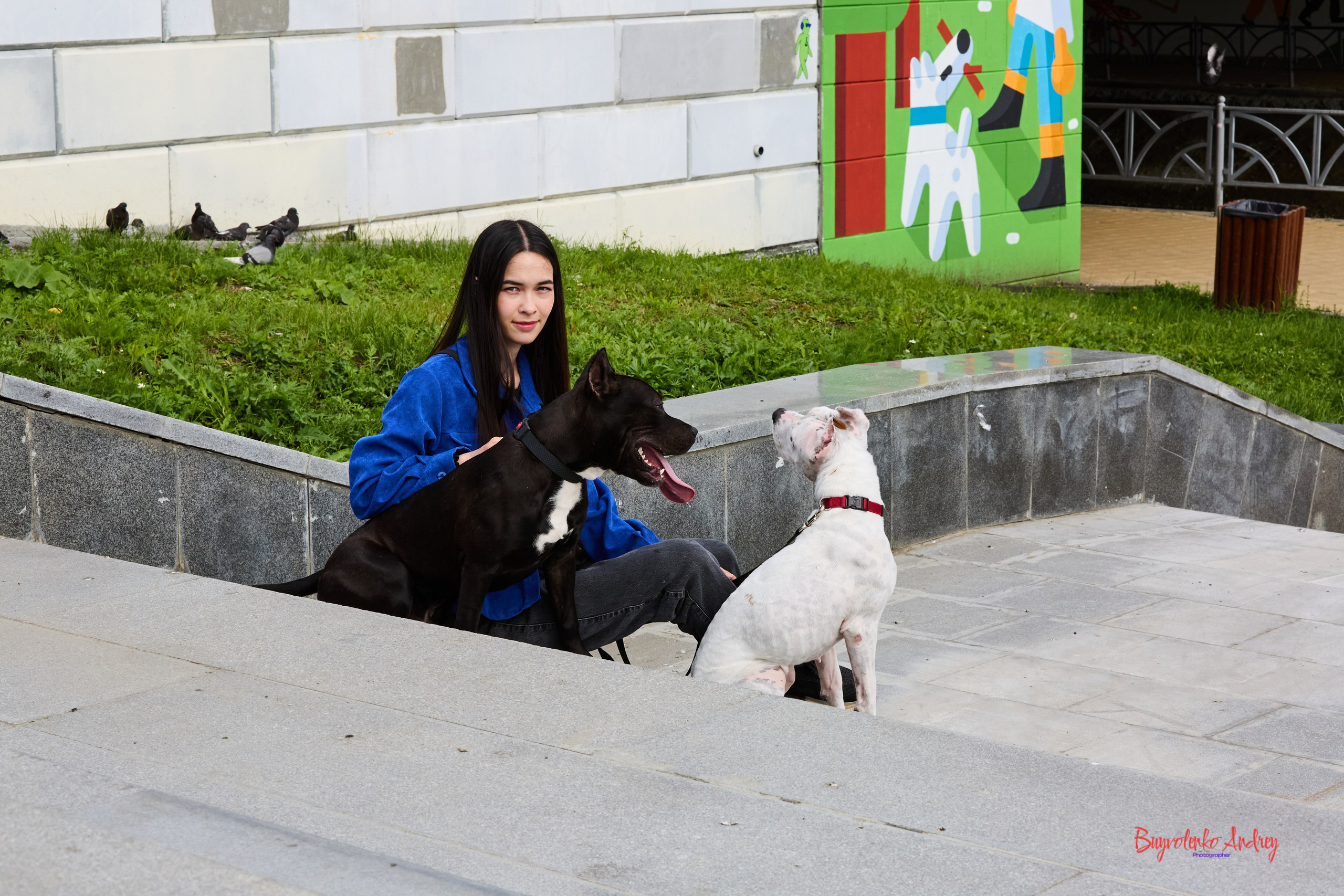 Проект фотопрогулка с хвостиком. Buyvolenko Andrey