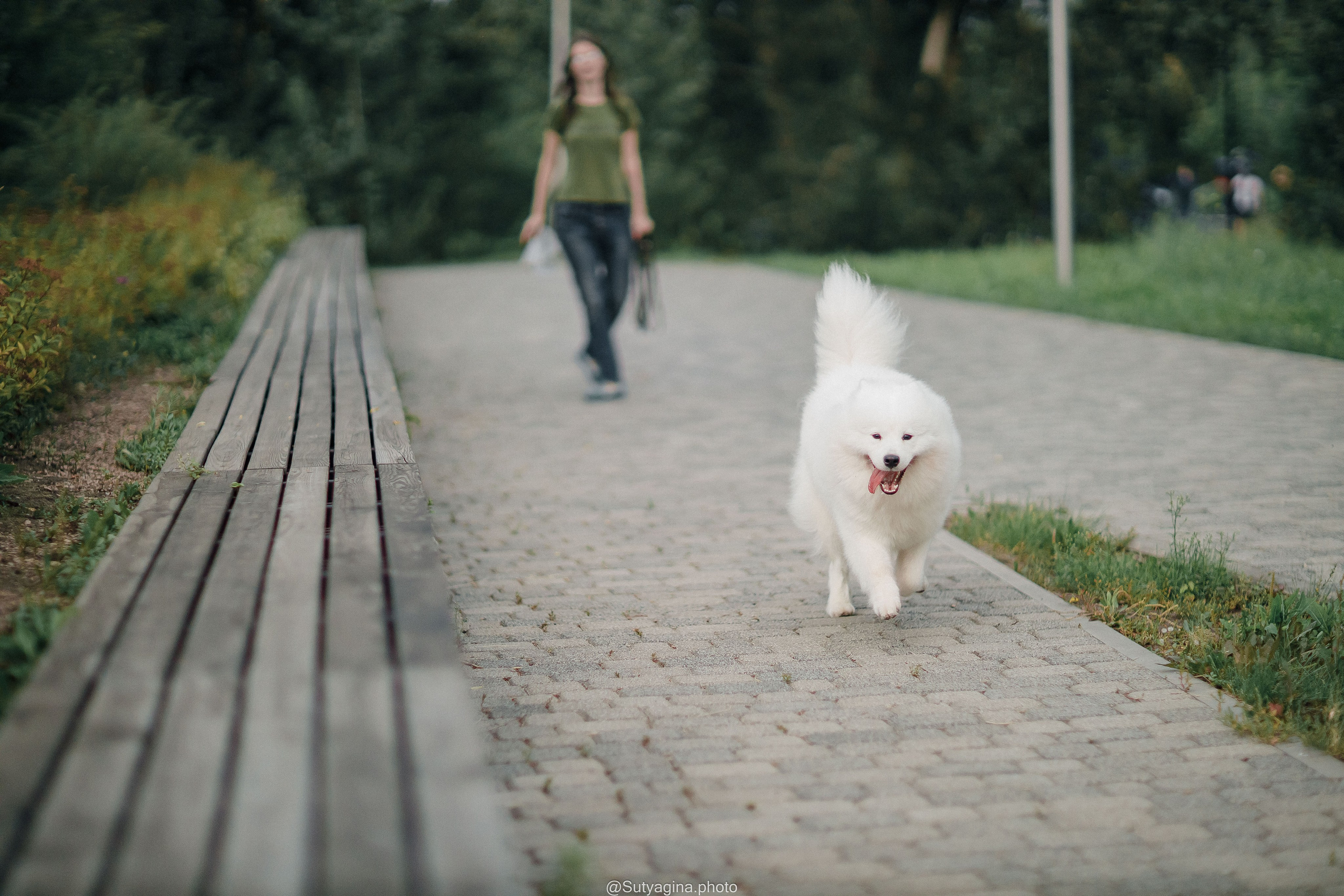 Самоед Рея. Свадебный и женский фотограф