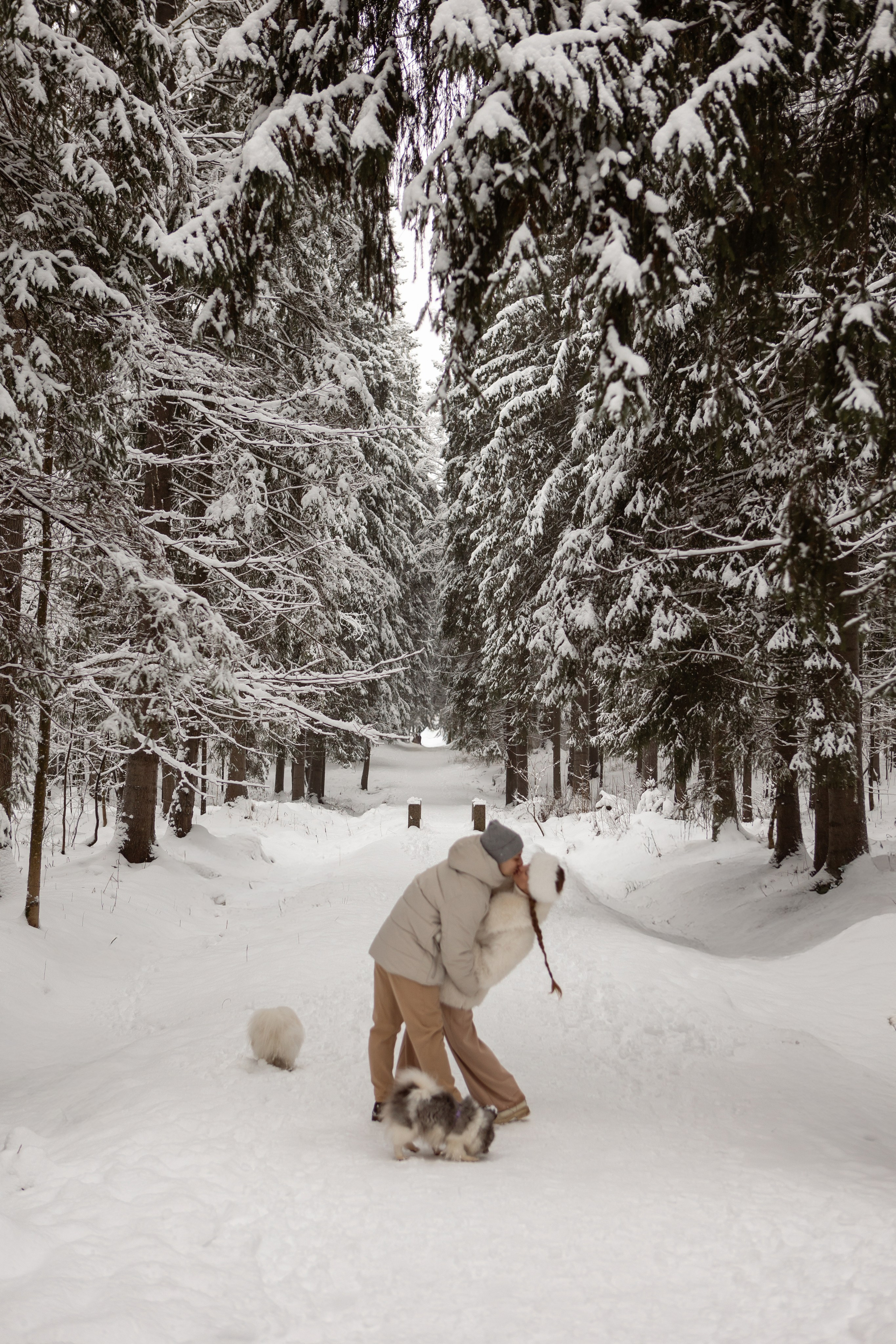 Новогодняя фотосессия с собачками в шуваловском парке. Свадебный фотограф в СПБ | Санкт-Петербурге Анастасия Рахимгулова
