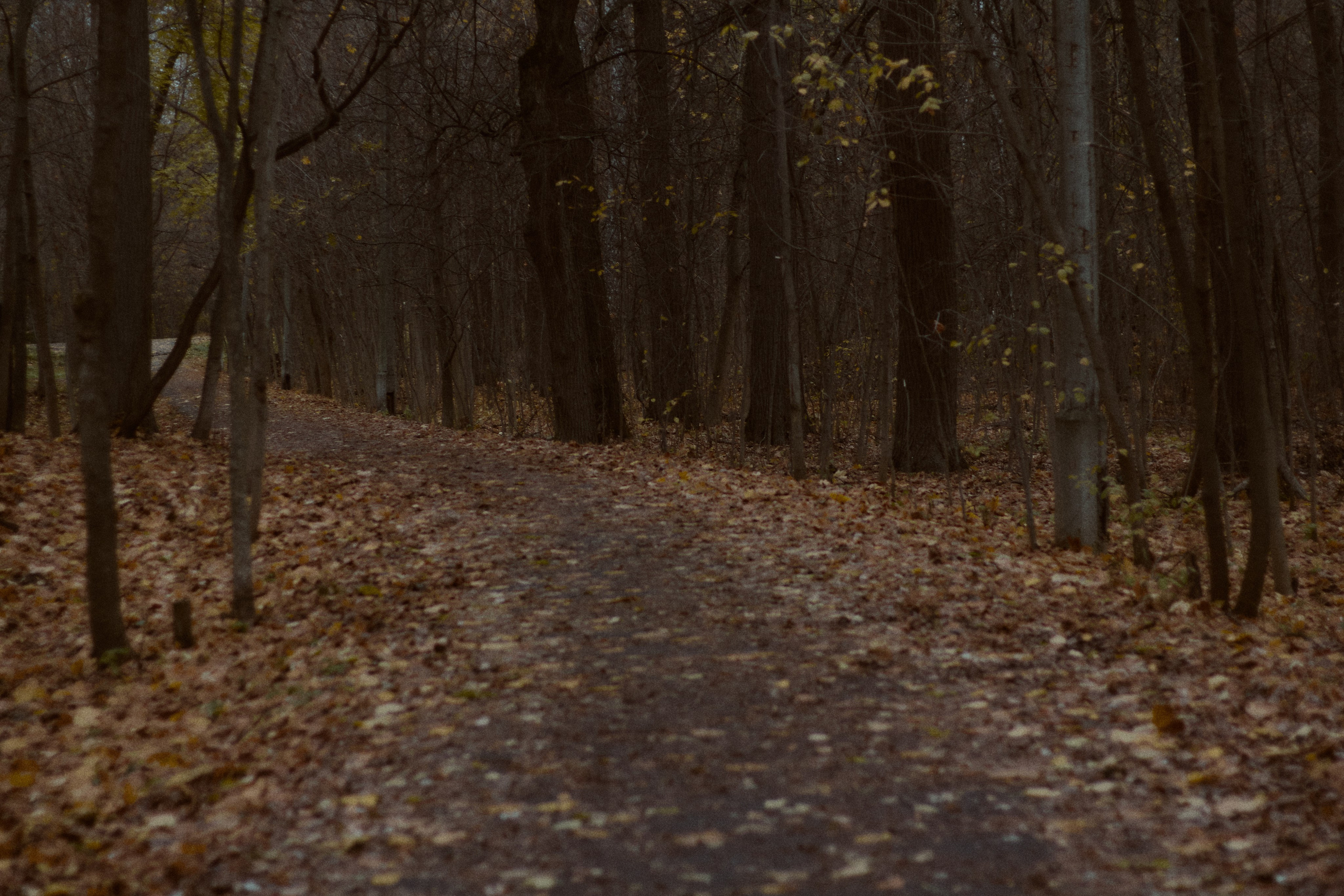 Агата и Даниил. Фотограф лавстори Москва/МО Приятелева Ангелина