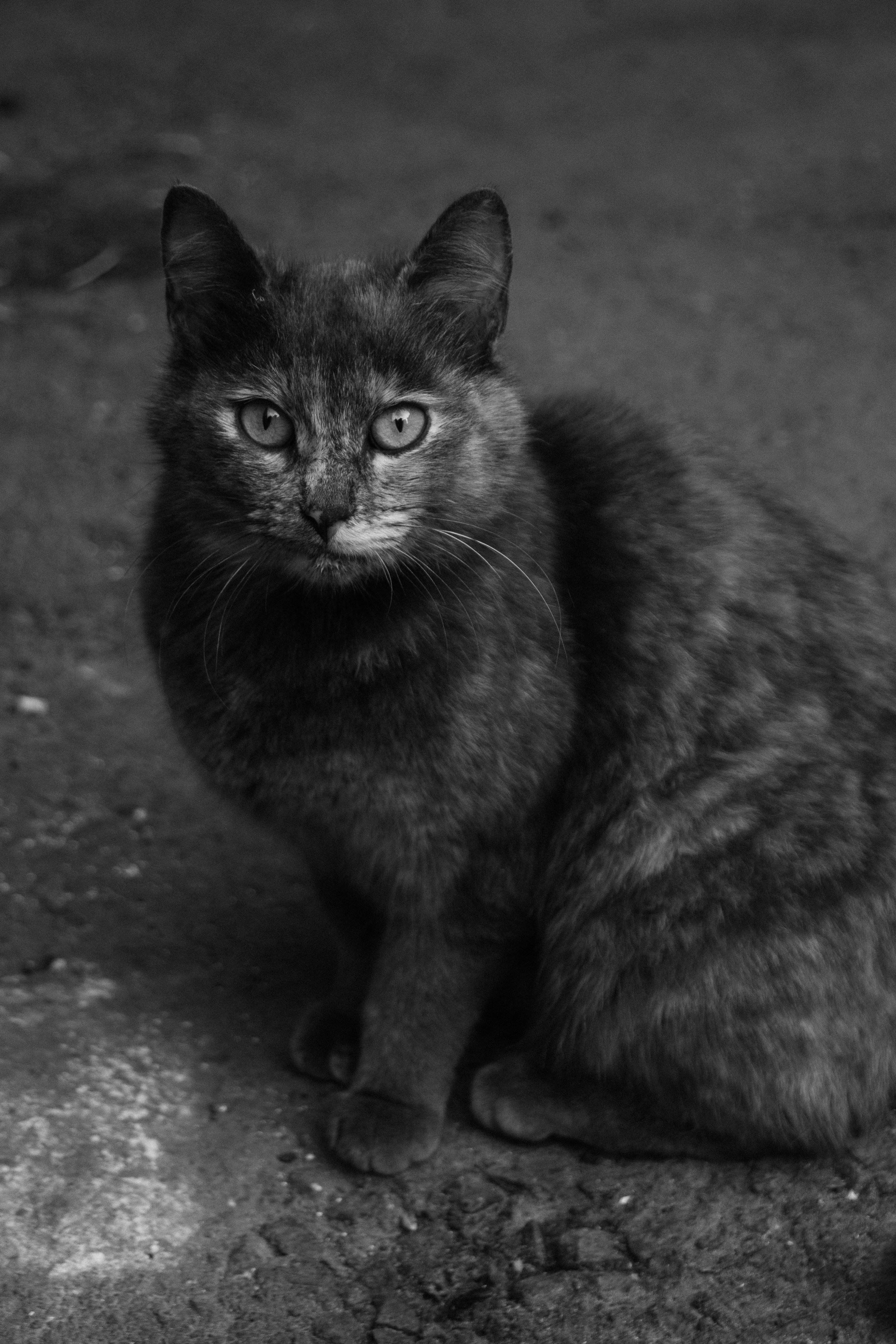 Даша. ФОТОГРАФ ~ Виктория Ивченко ~ Старый Оскол