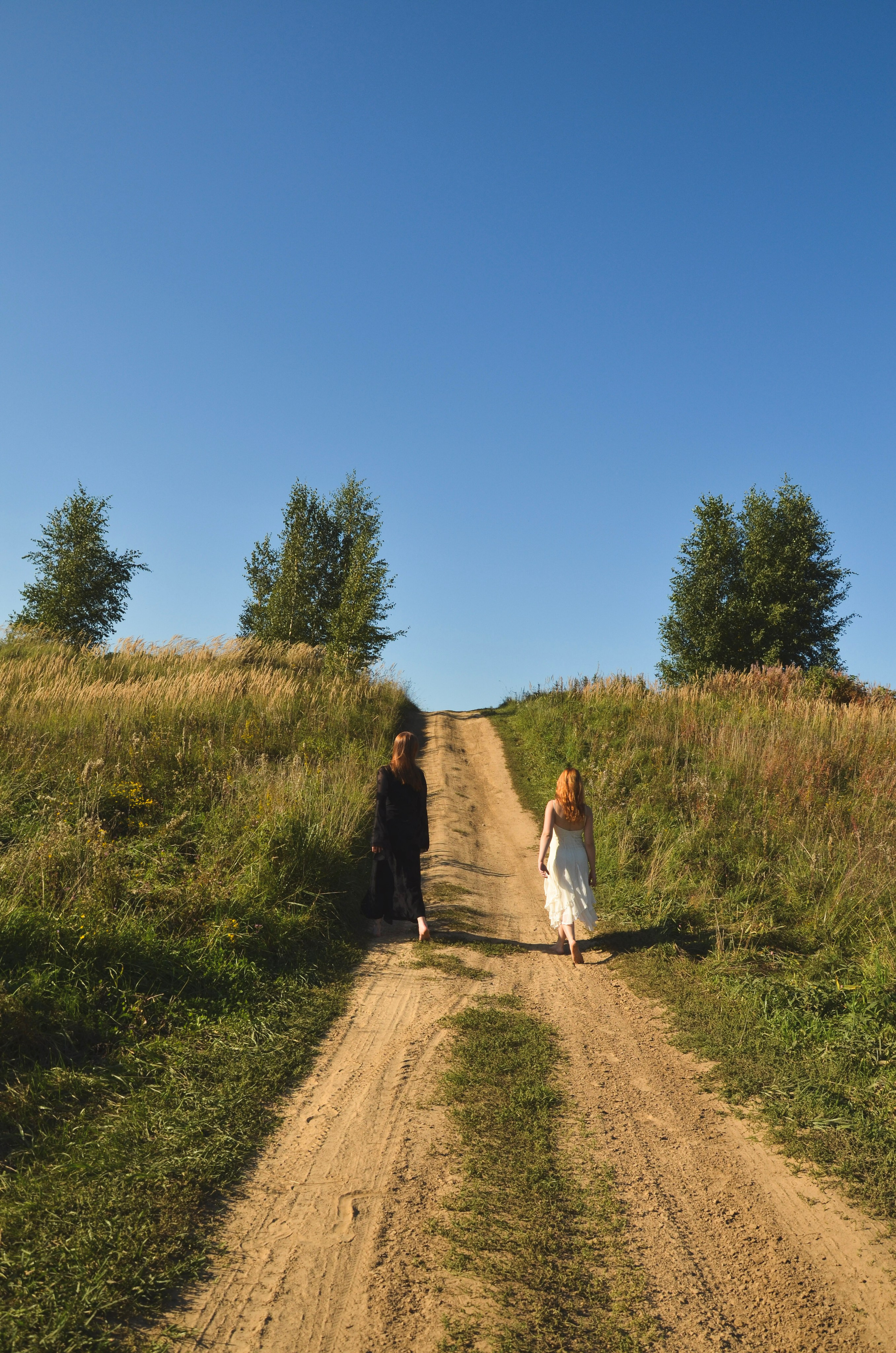 Колосья. Фотограф СПб | Лесная фотосессия