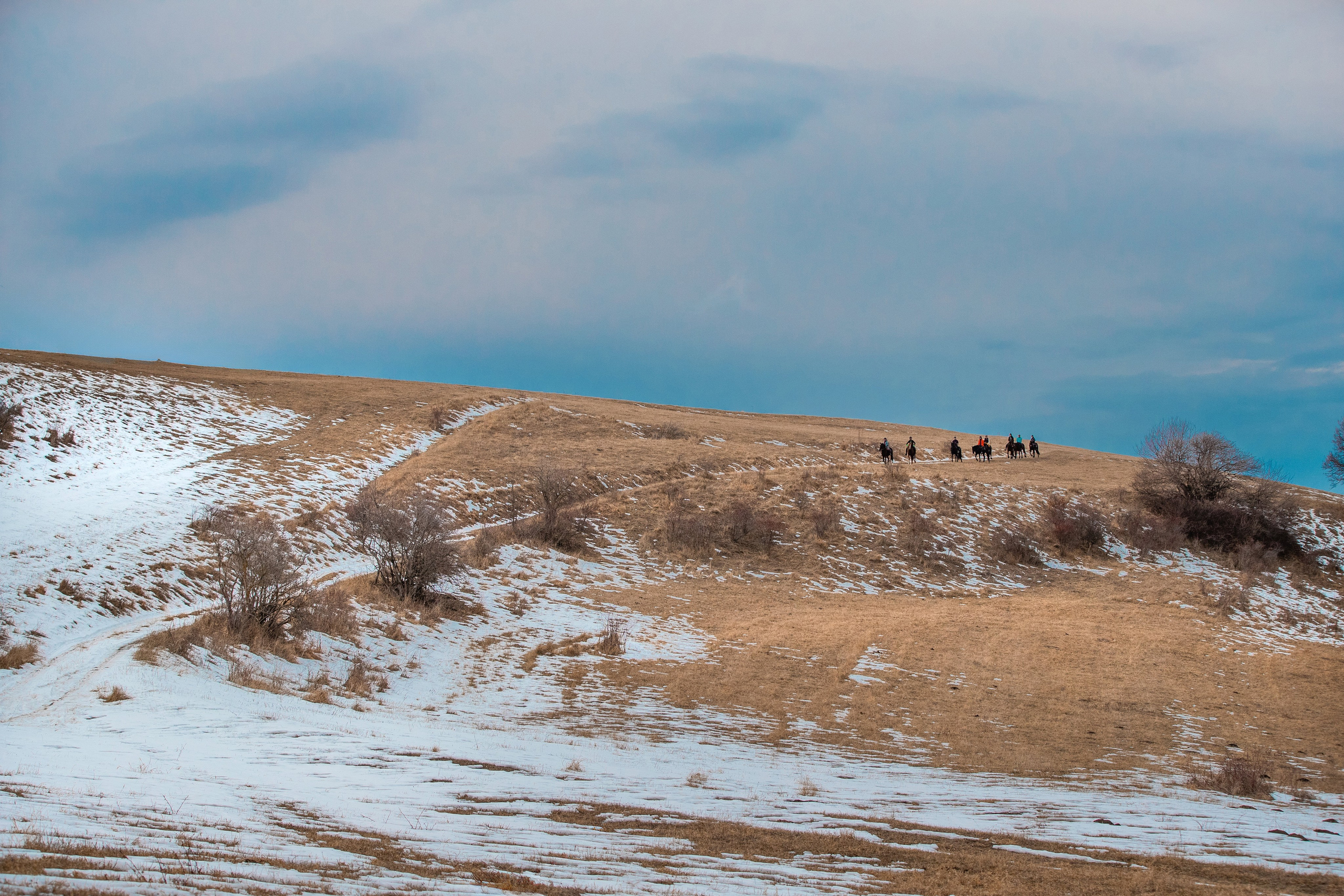 Фототуры в Карачаево-Черкессии 2019-2020. Фотограф-анималист Ксендзова Кристина
