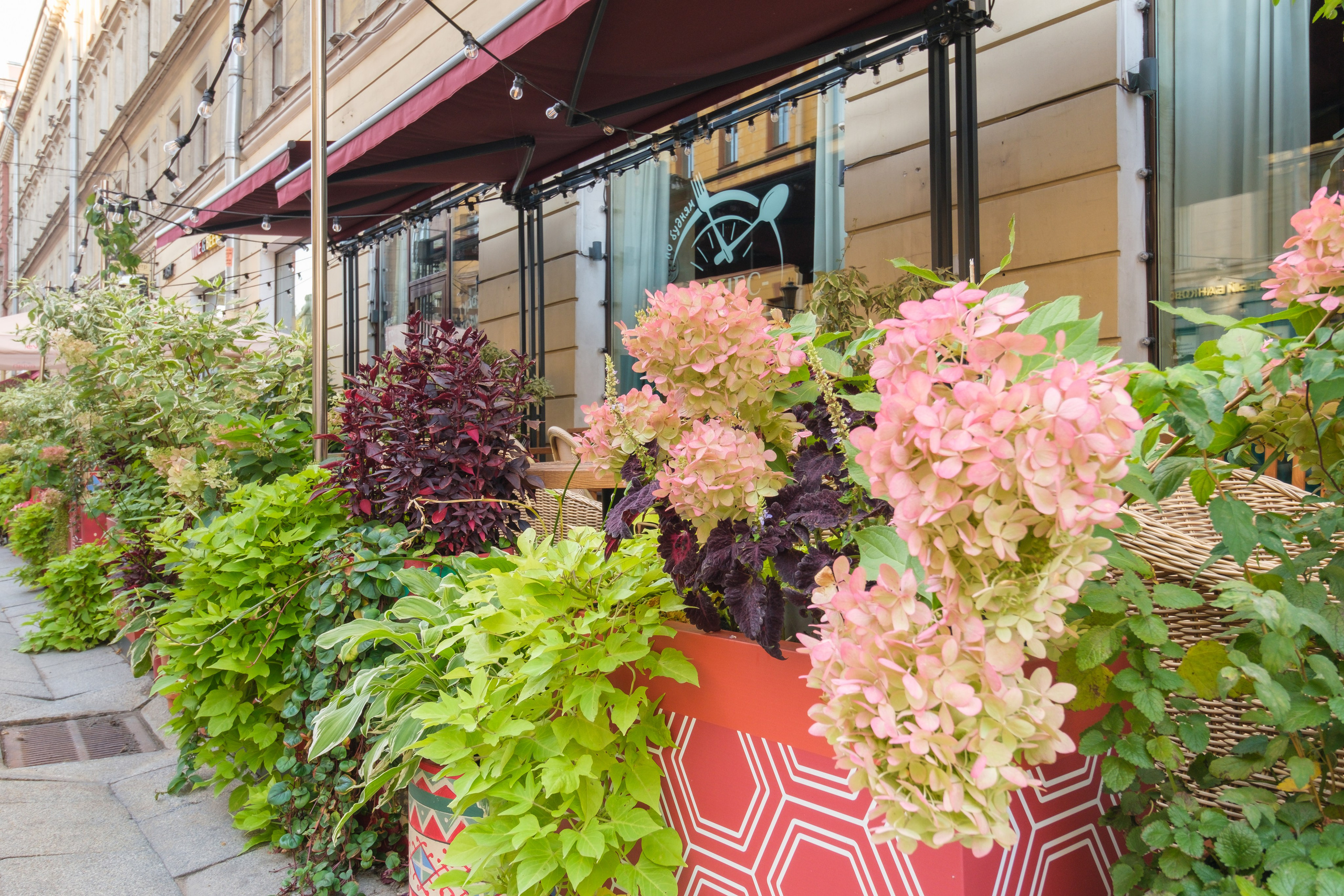 Озеленение