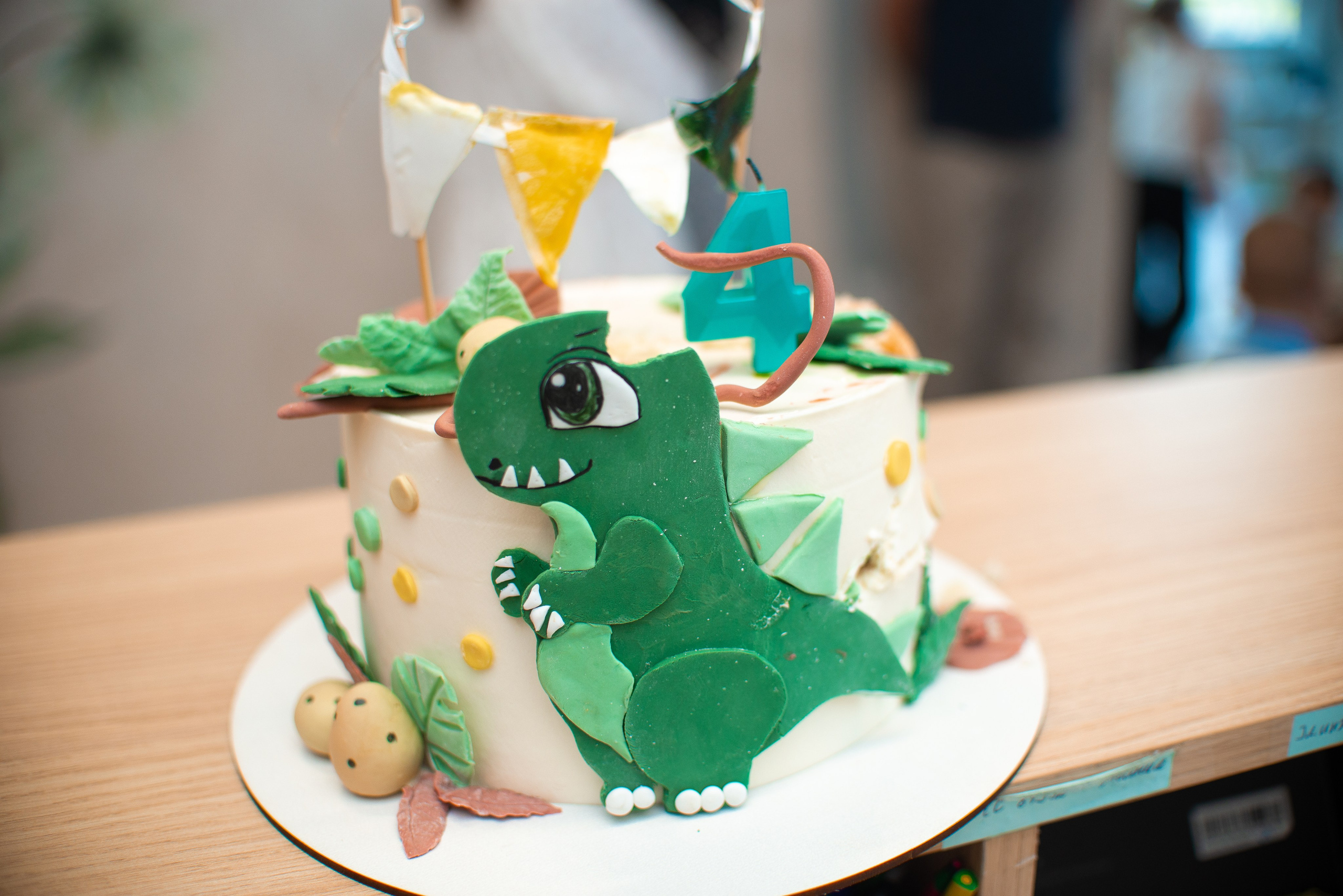 День Рождения Лёвы в Симбе. Семейный фотограф на выписку из роддома и крещение Минск Настя Гришук