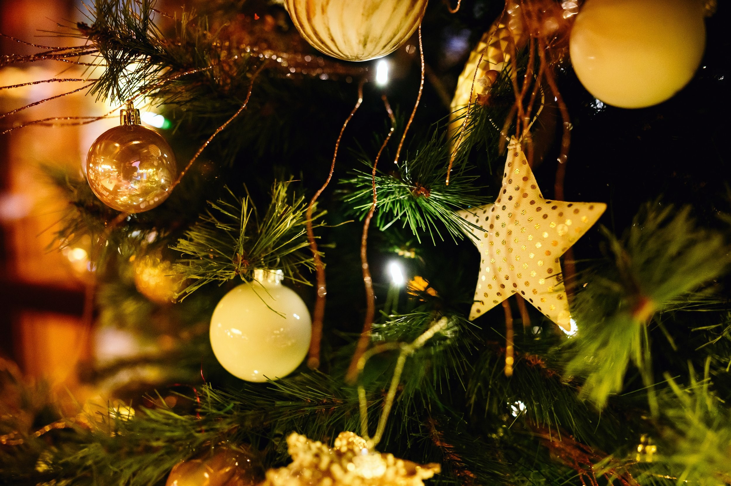 Фоторепортаж из Планеты. One Media Life: фоторепортажи, фотоотчеты с мероприятий и заведений