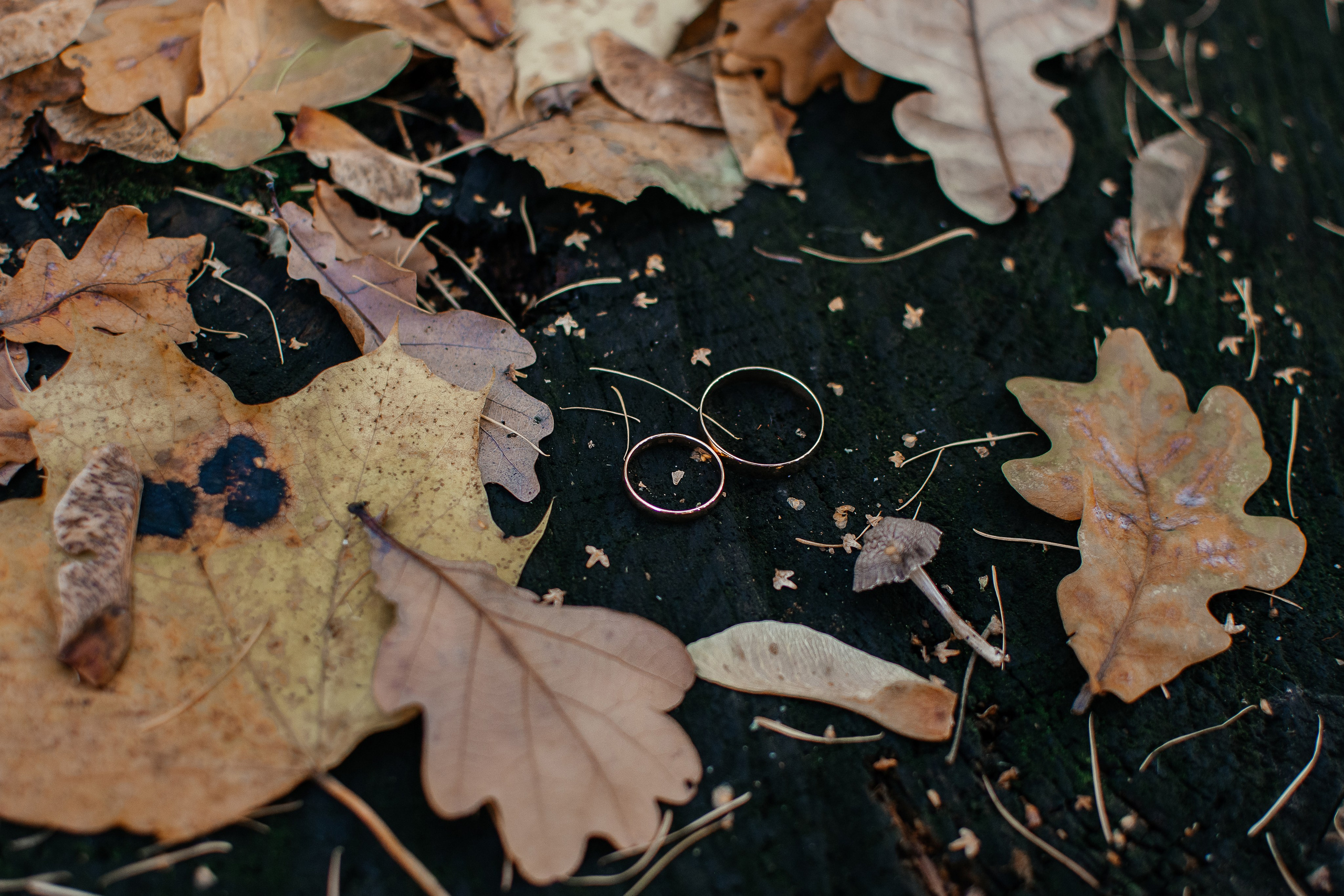 Свадебные прогулки. Семейный фотограф в Новомичуринске Наташа Непомнящая