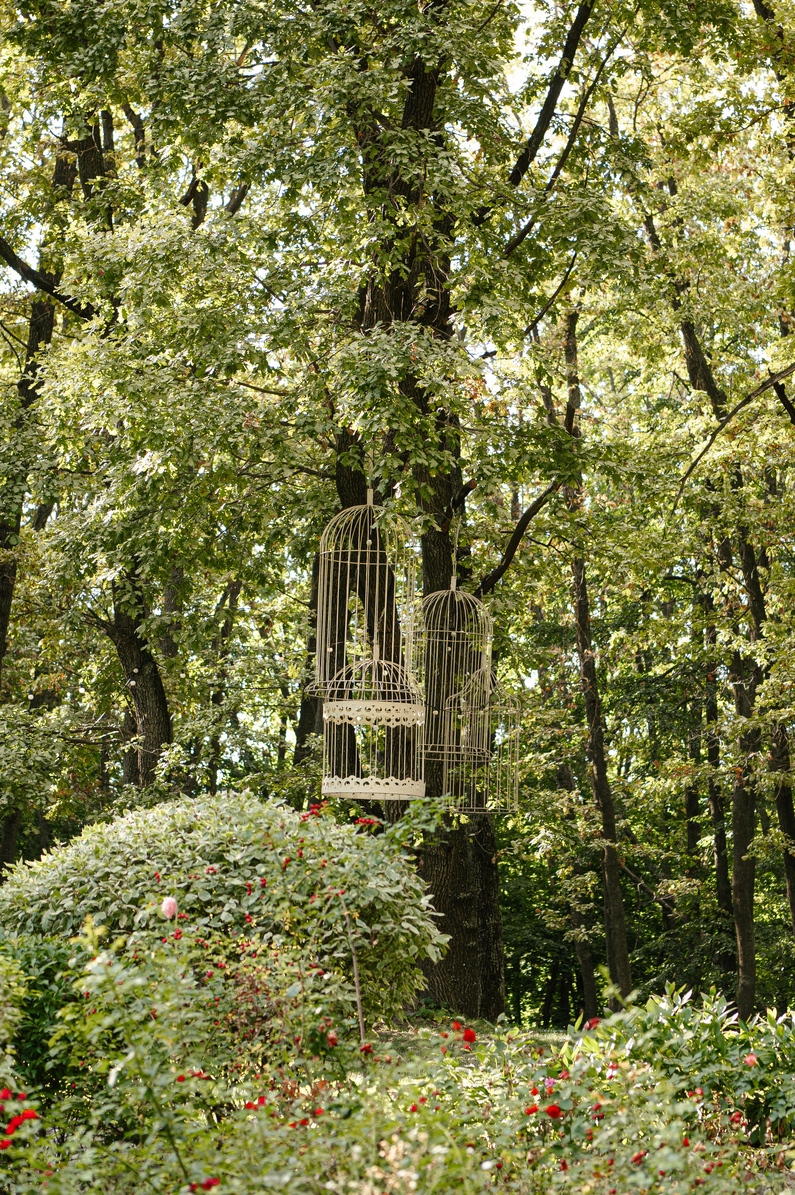 Даниил и Виктория. Свадебный фотограф Белгород