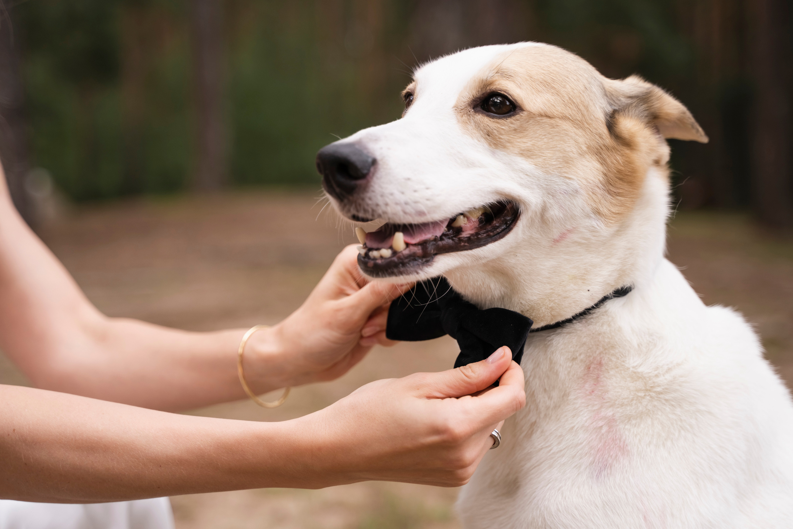 ЮЛИЯ И ВИКТОР. Семейный и детский фотограф в Москве