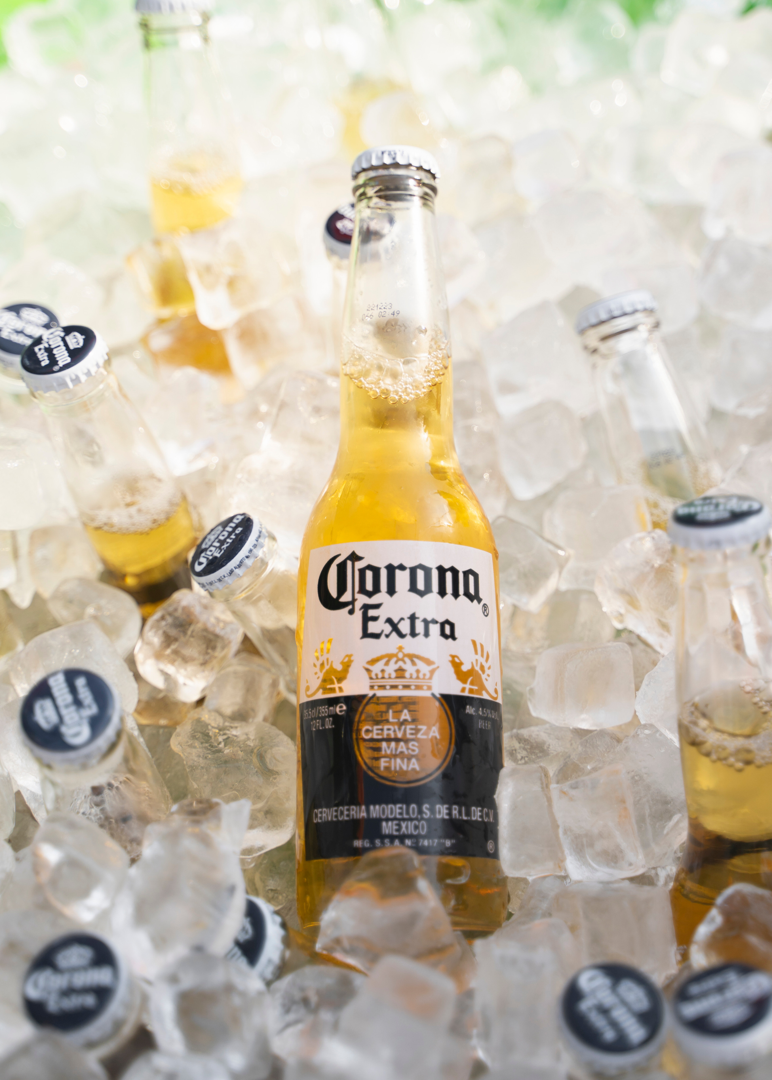 ТРОПИКАНА ЖЕНЩИНА. Семейный и детский фотограф в Москве