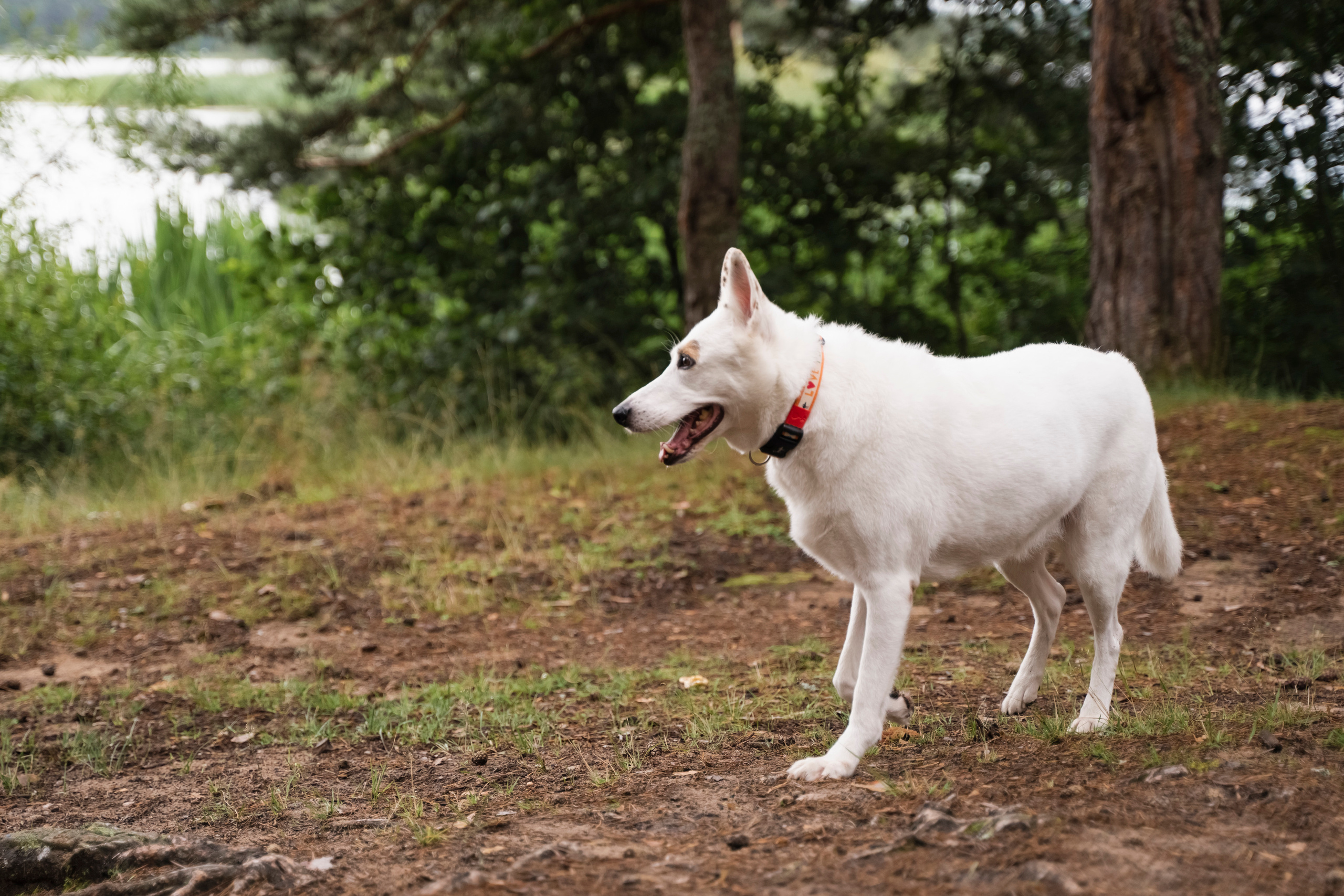 ЮЛИЯ И ВИКТОР. Семейный и детский фотограф в Москве