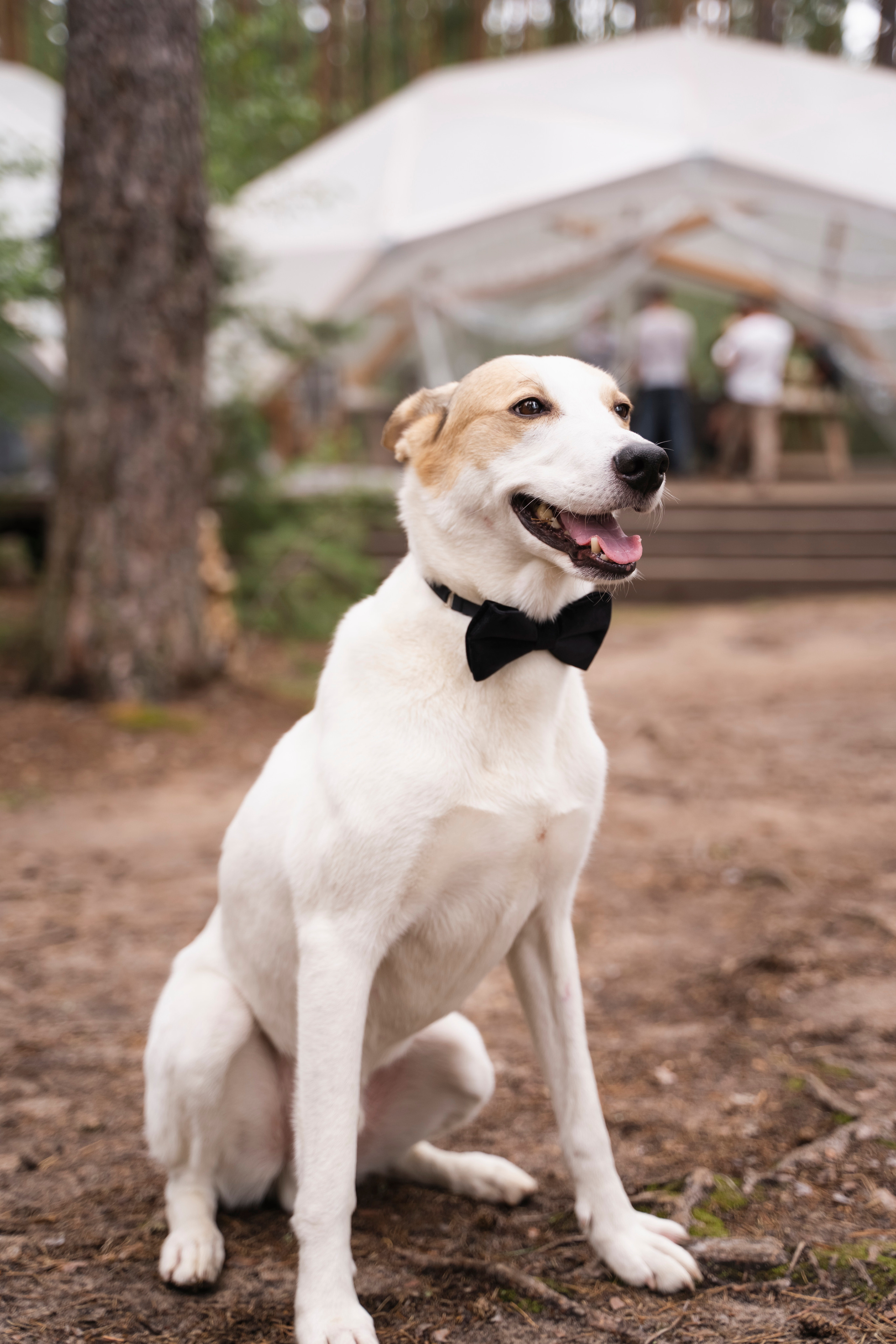 ЮЛИЯ И ВИКТОР. Семейный и детский фотограф в Москве