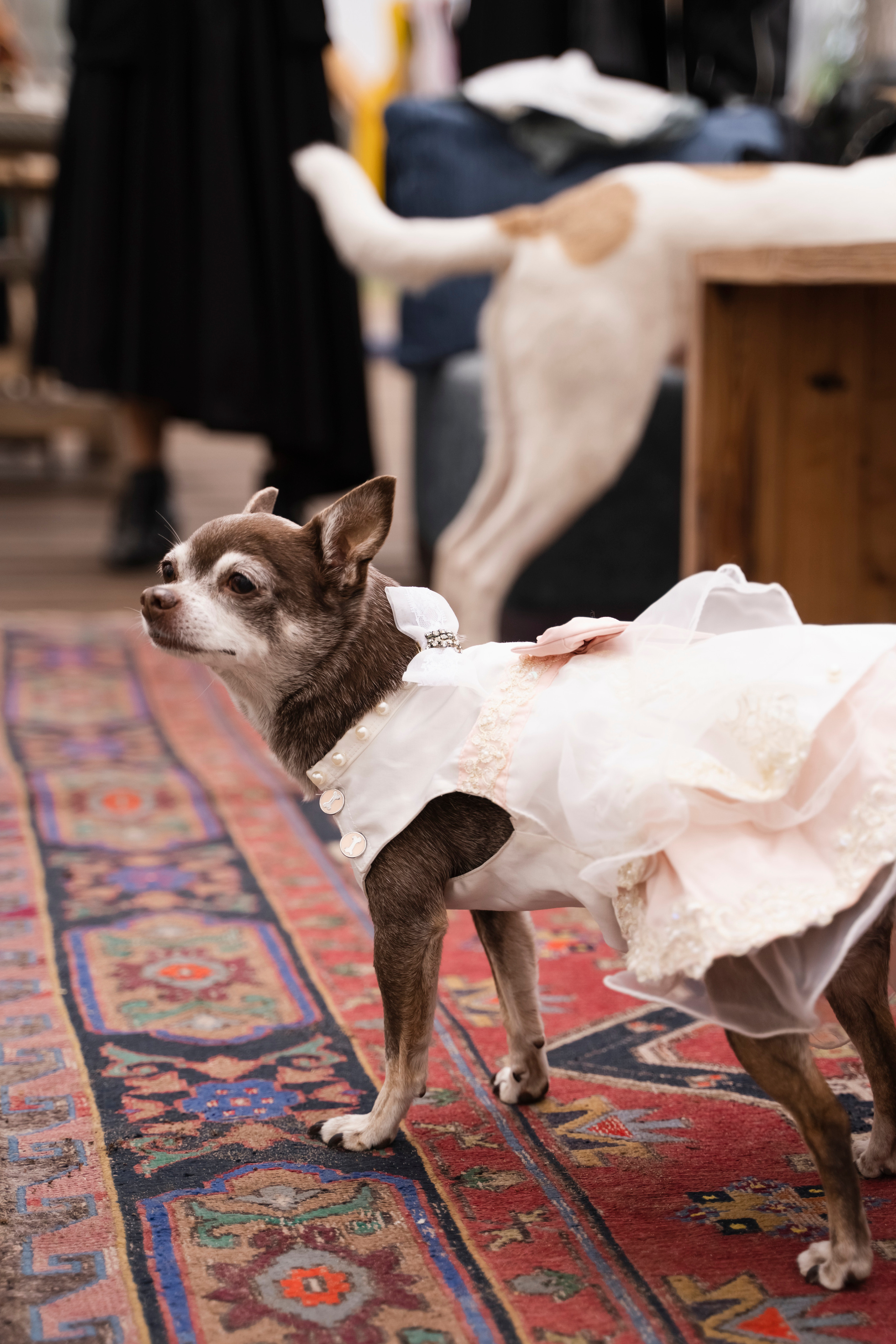 ЮЛИЯ И ВИКТОР. Семейный и детский фотограф в Москве