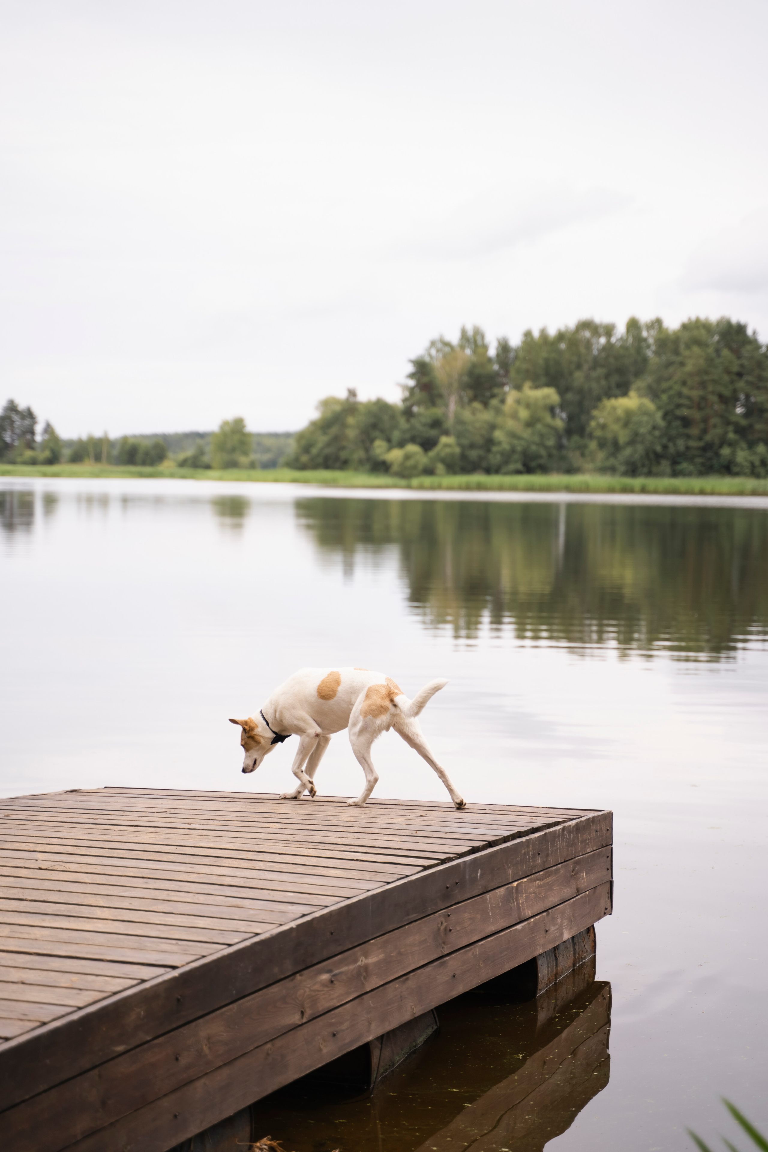 ЮЛИЯ И ВИКТОР. Семейный и детский фотограф в Москве