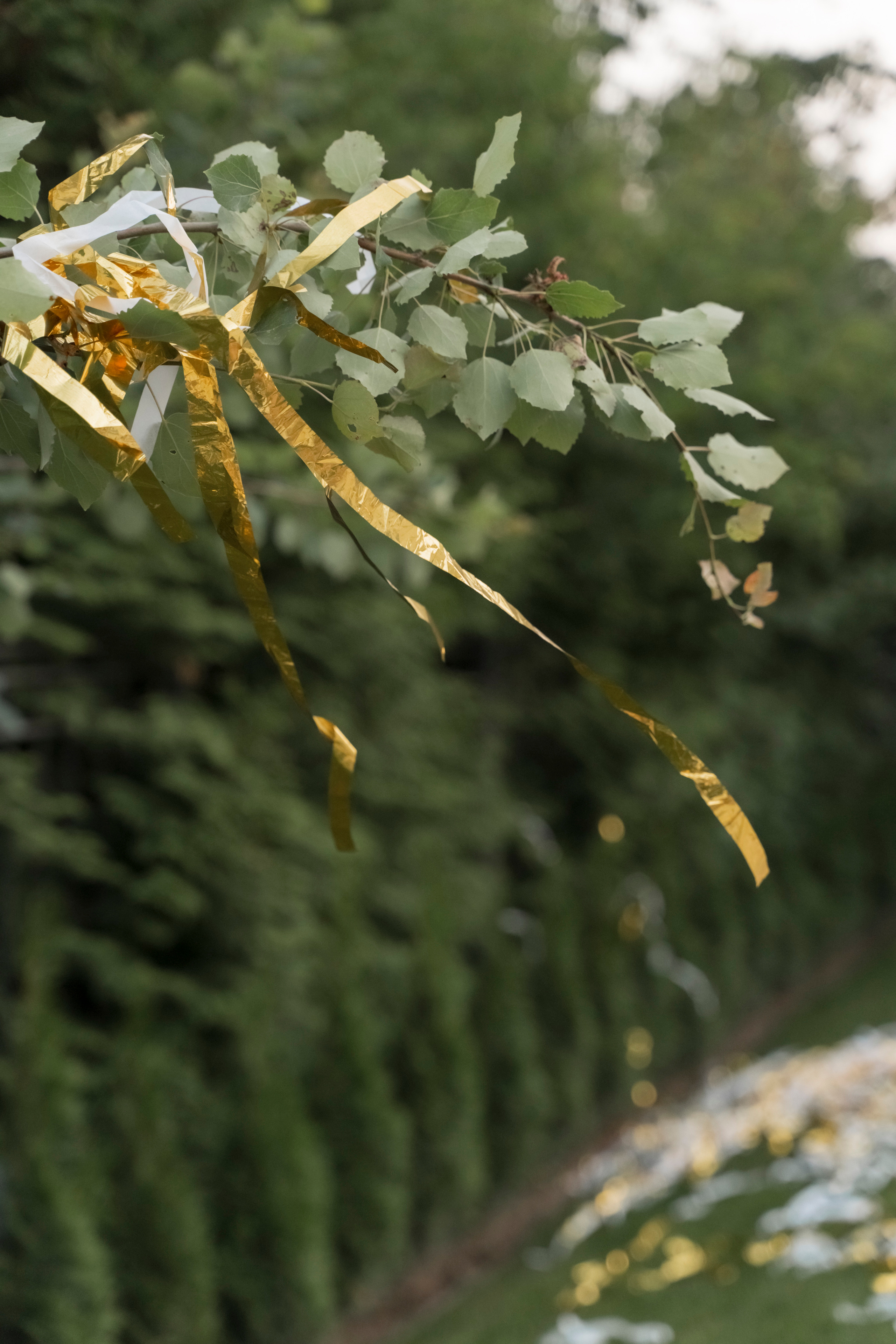 BOHO PARTY. Семейный и детский фотограф в Москве