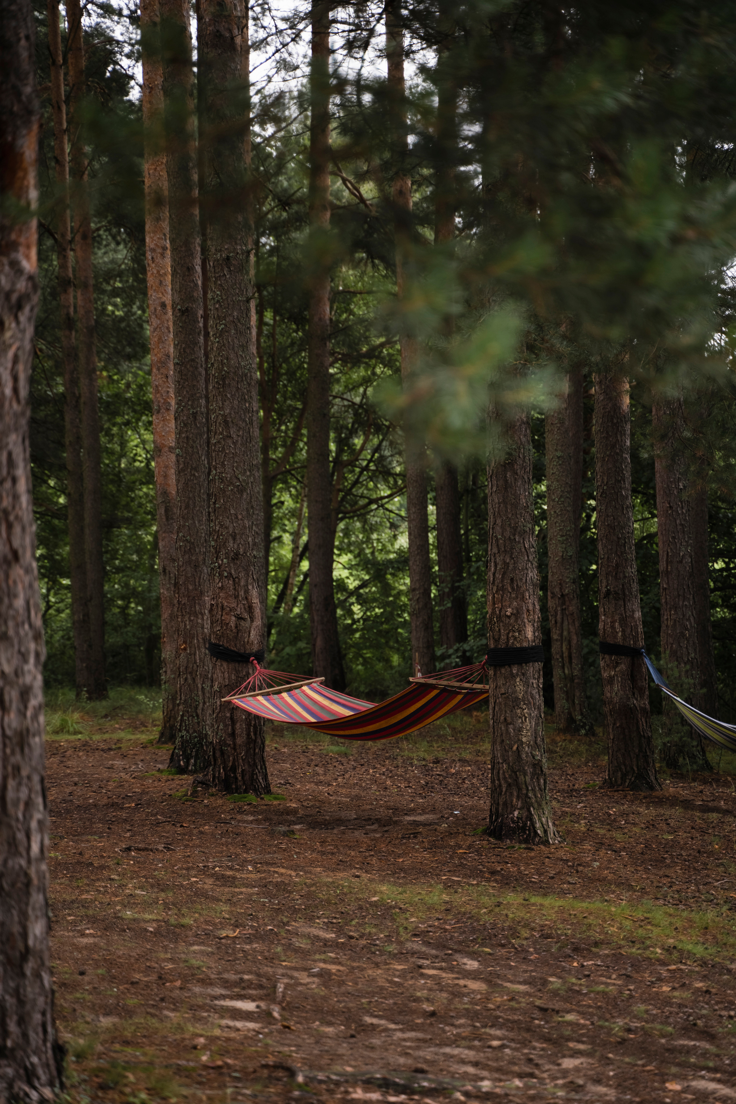 ЮЛИЯ И ВИКТОР. Семейный и детский фотограф в Москве