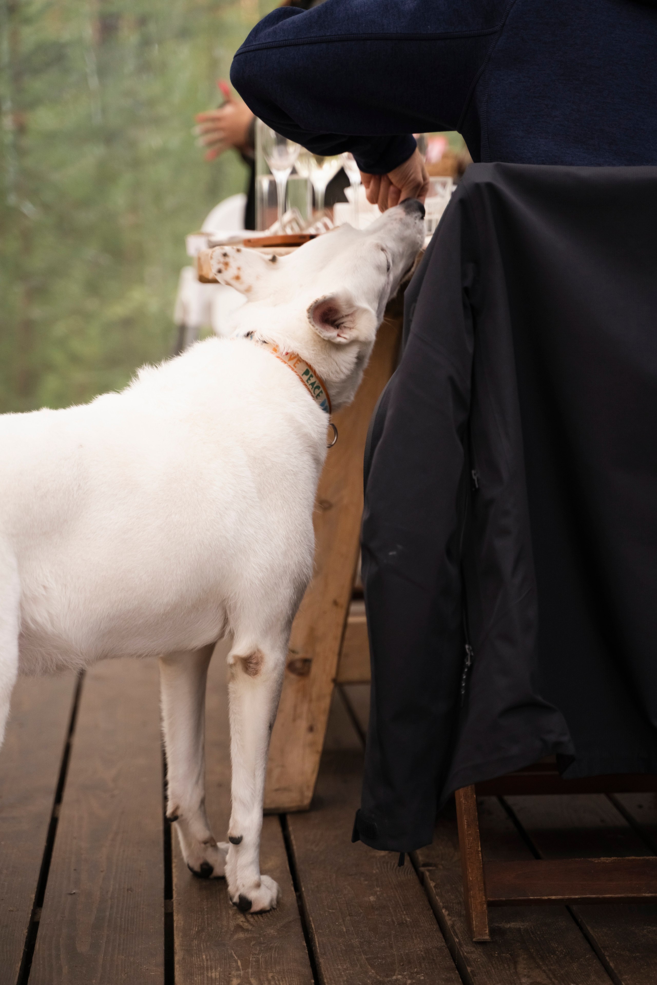 ЮЛИЯ И ВИКТОР. Семейный и детский фотограф в Москве