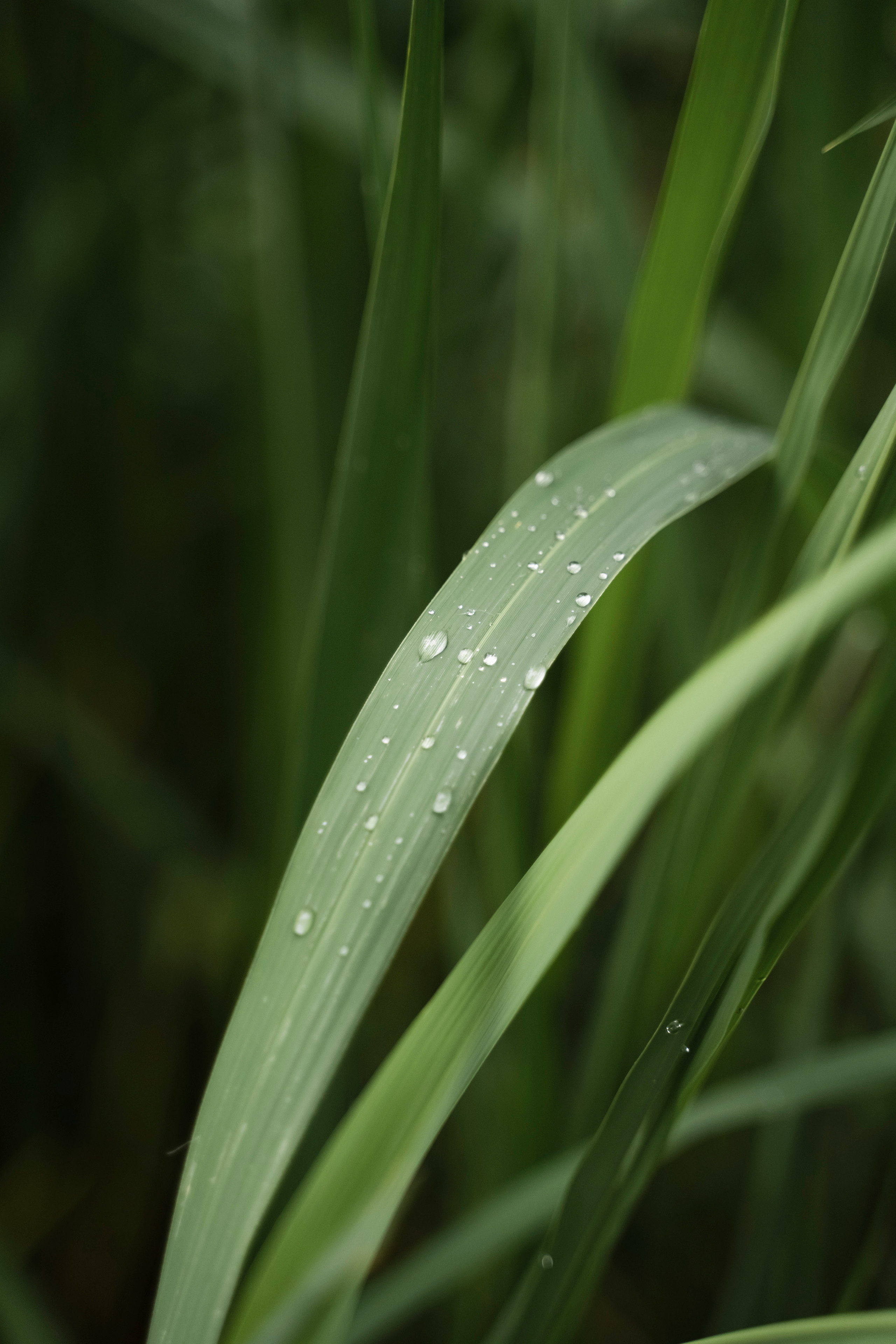 ЮЛИЯ И ВИКТОР. Семейный и детский фотограф в Москве