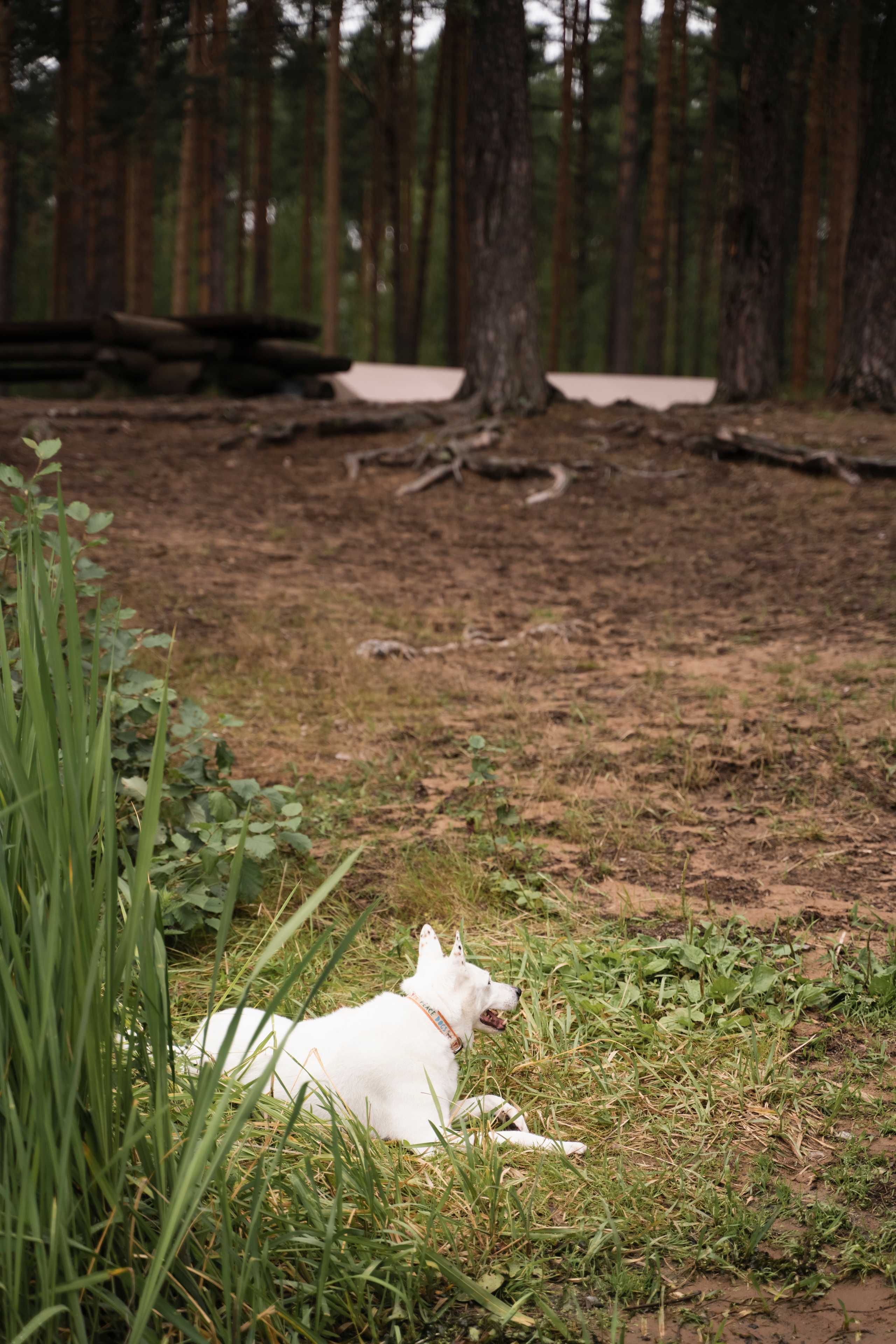 ЮЛИЯ И ВИКТОР. Семейный и детский фотограф в Москве