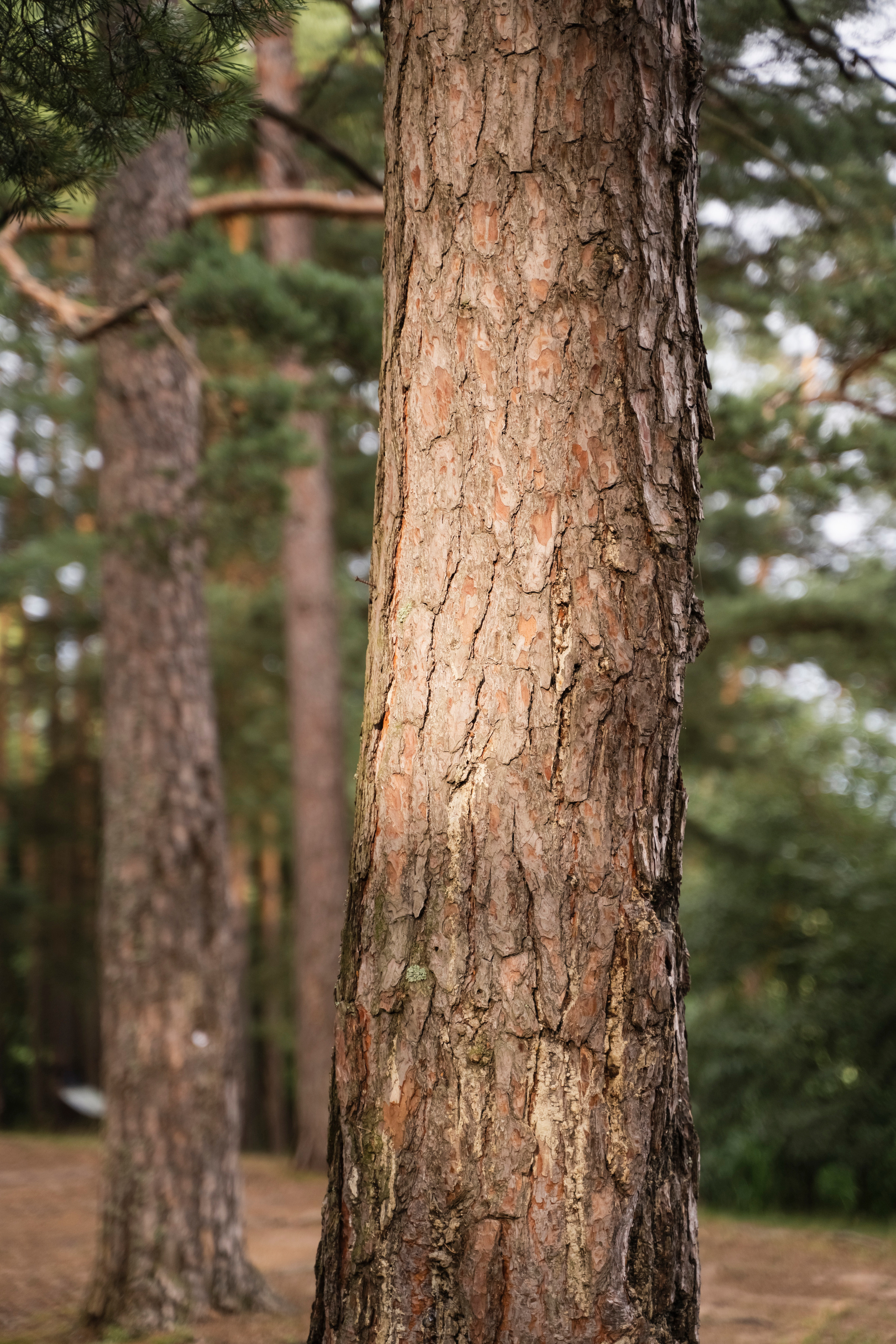 ЮЛИЯ И ВИКТОР. Семейный и детский фотограф в Москве