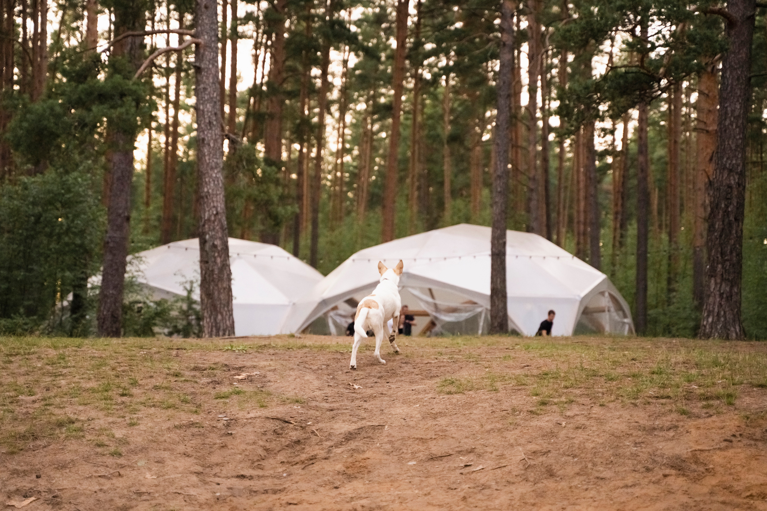 ЮЛИЯ И ВИКТОР. Семейный и детский фотограф в Москве