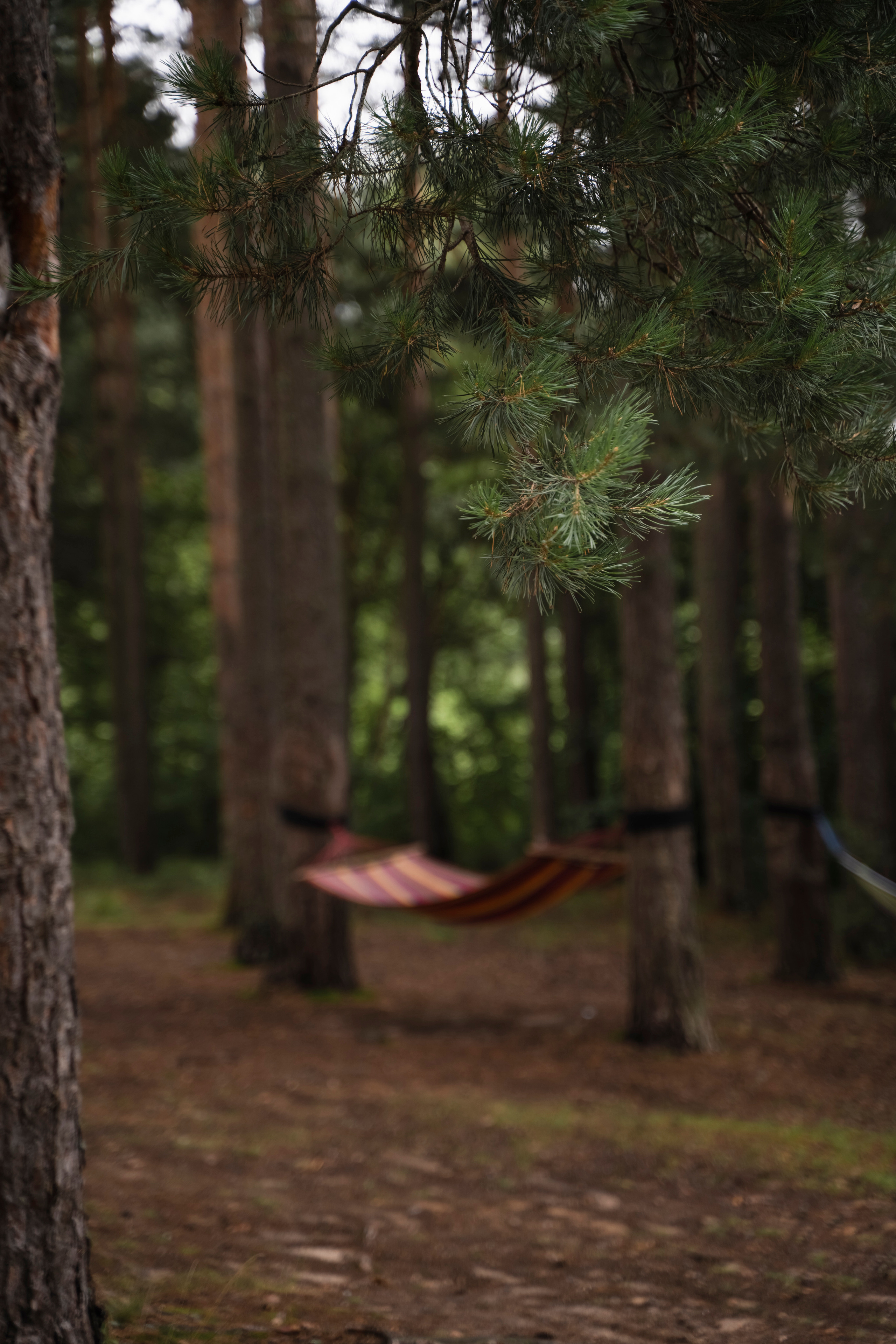 ЮЛИЯ И ВИКТОР. Семейный и детский фотограф в Москве
