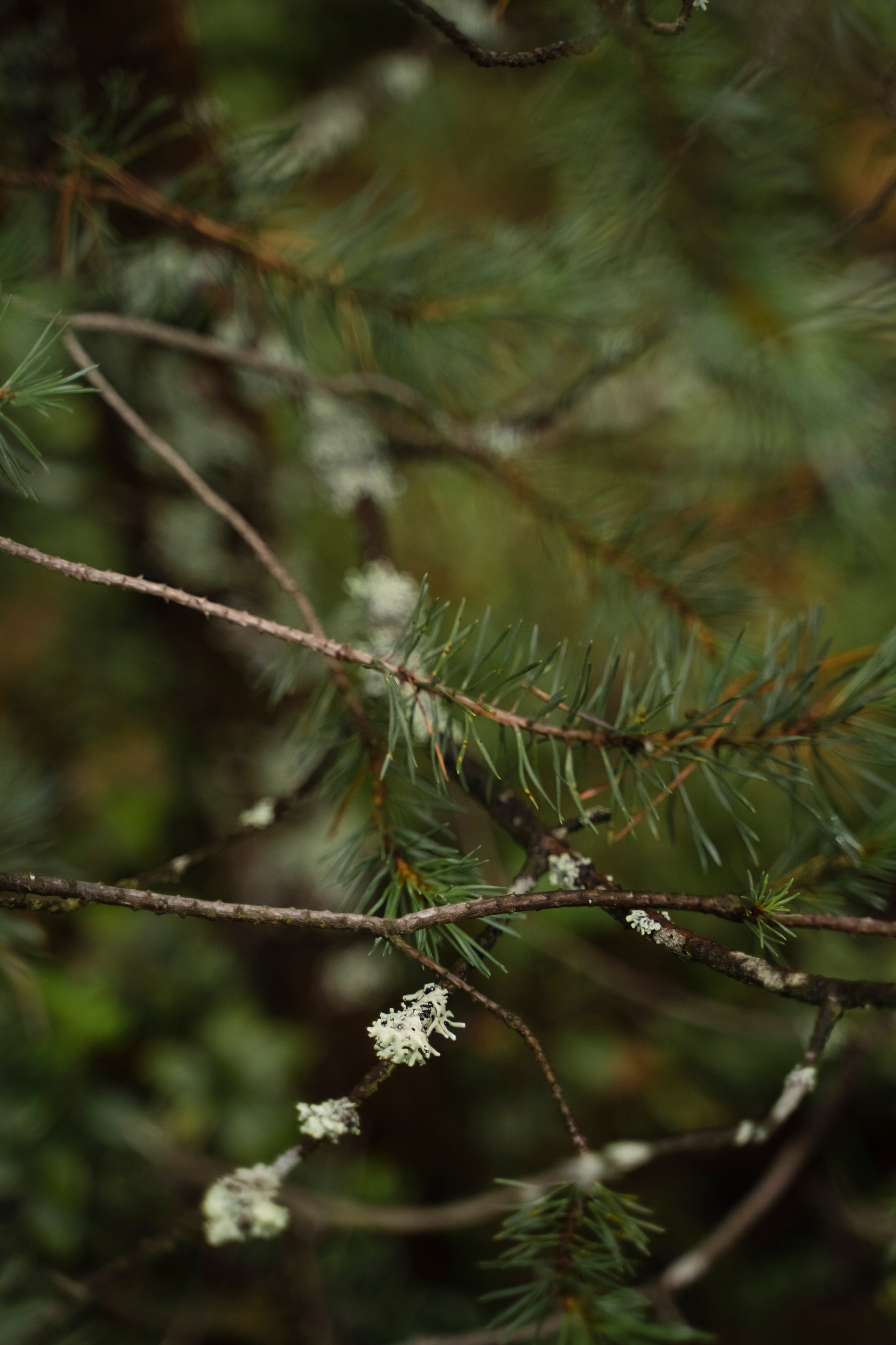 ЮЛИЯ И ВИКТОР. Семейный и детский фотограф в Москве