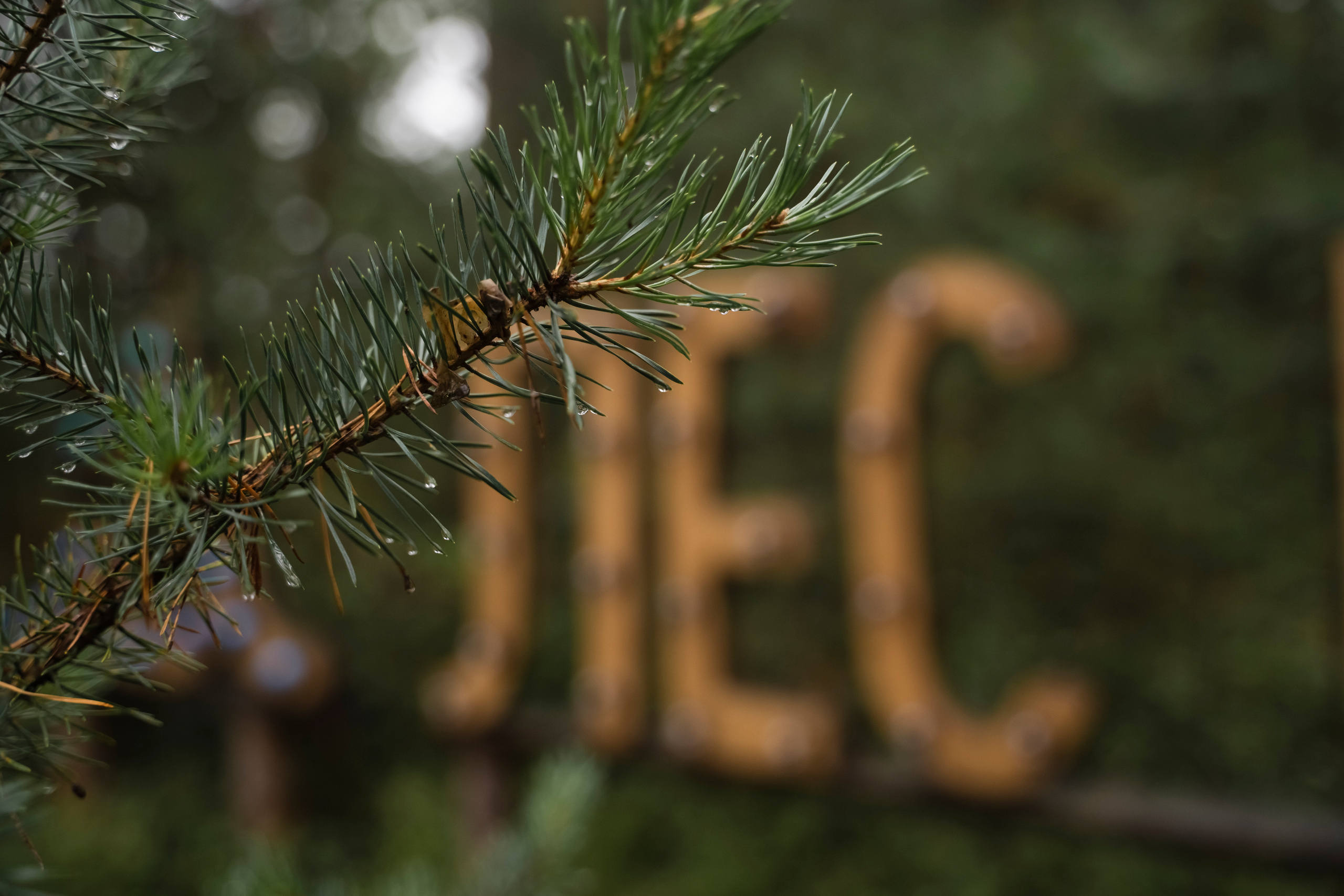 ЮЛИЯ И ВИКТОР. Семейный и детский фотограф в Москве