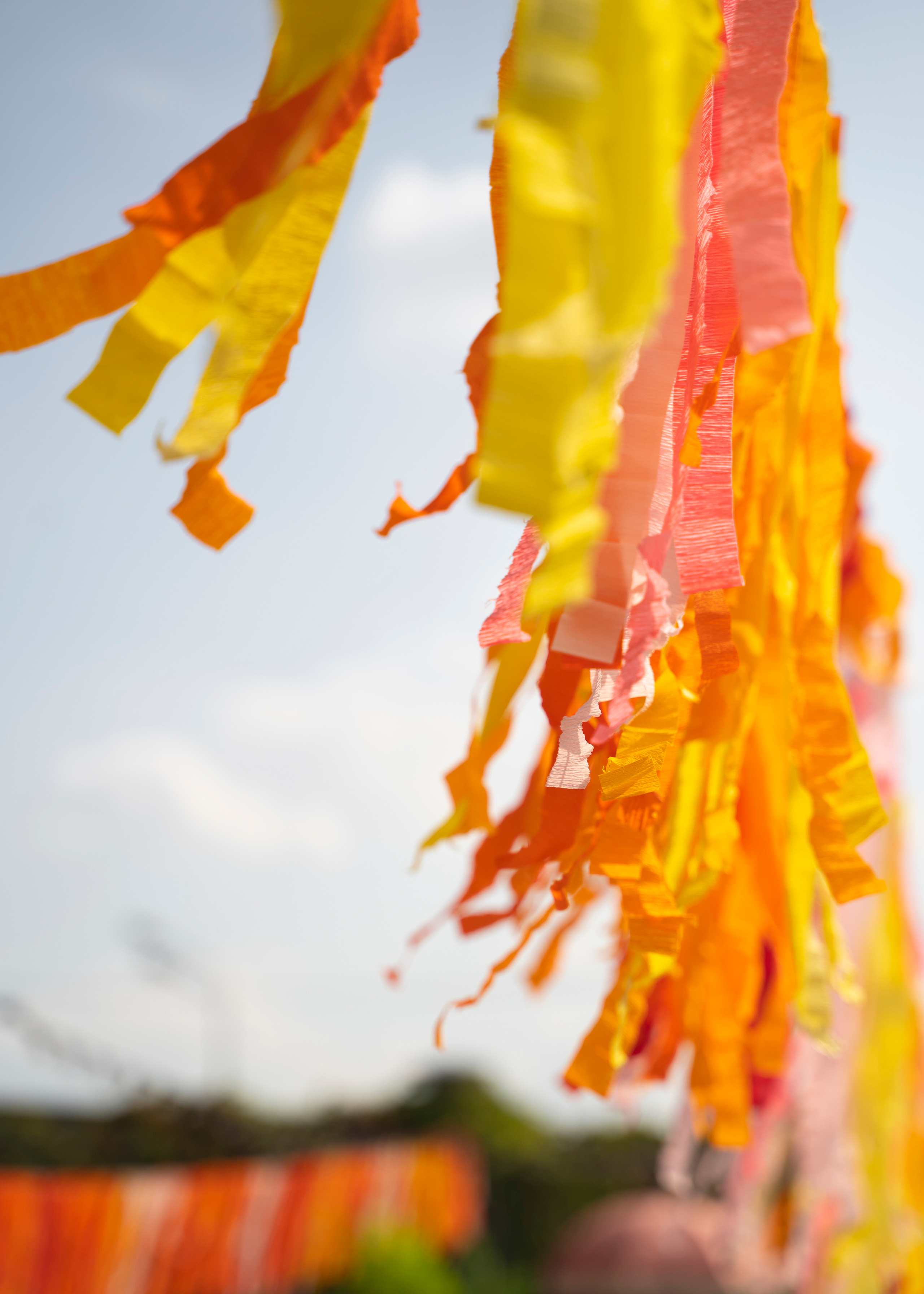 ТРОПИКАНА ЖЕНЩИНА. Семейный и детский фотограф в Москве