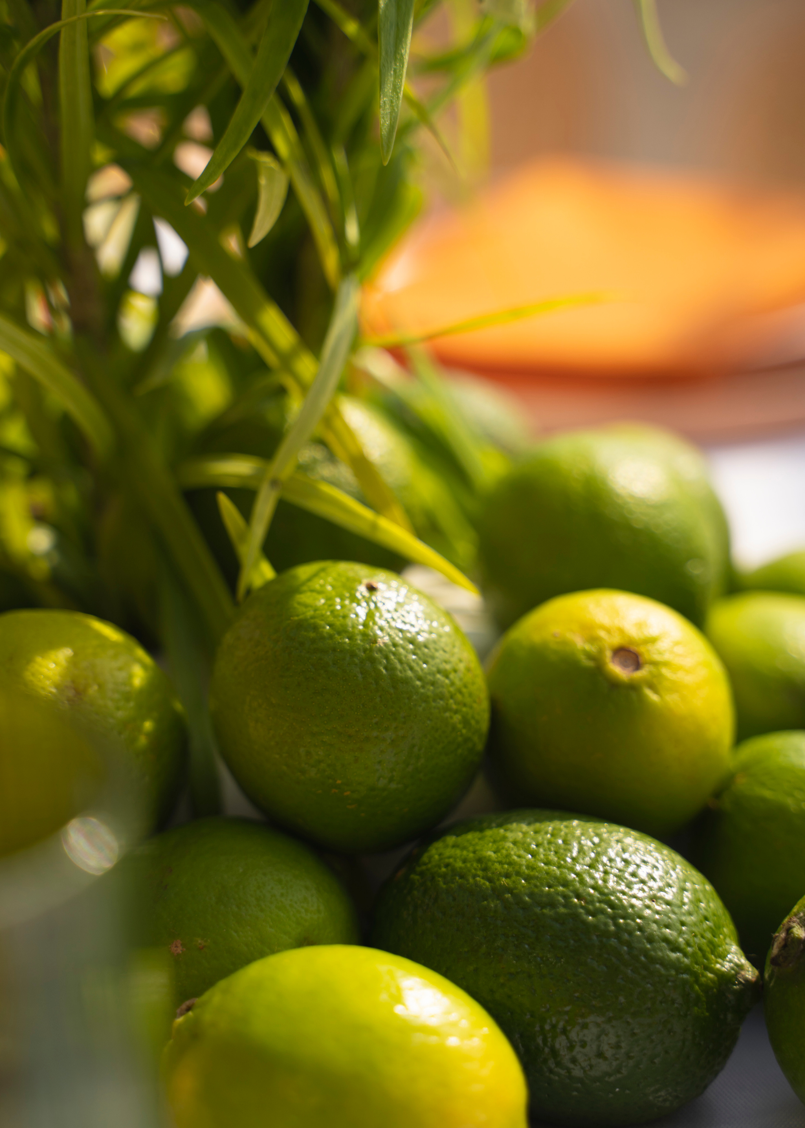 ТРОПИКАНА ЖЕНЩИНА. Семейный и детский фотограф в Москве