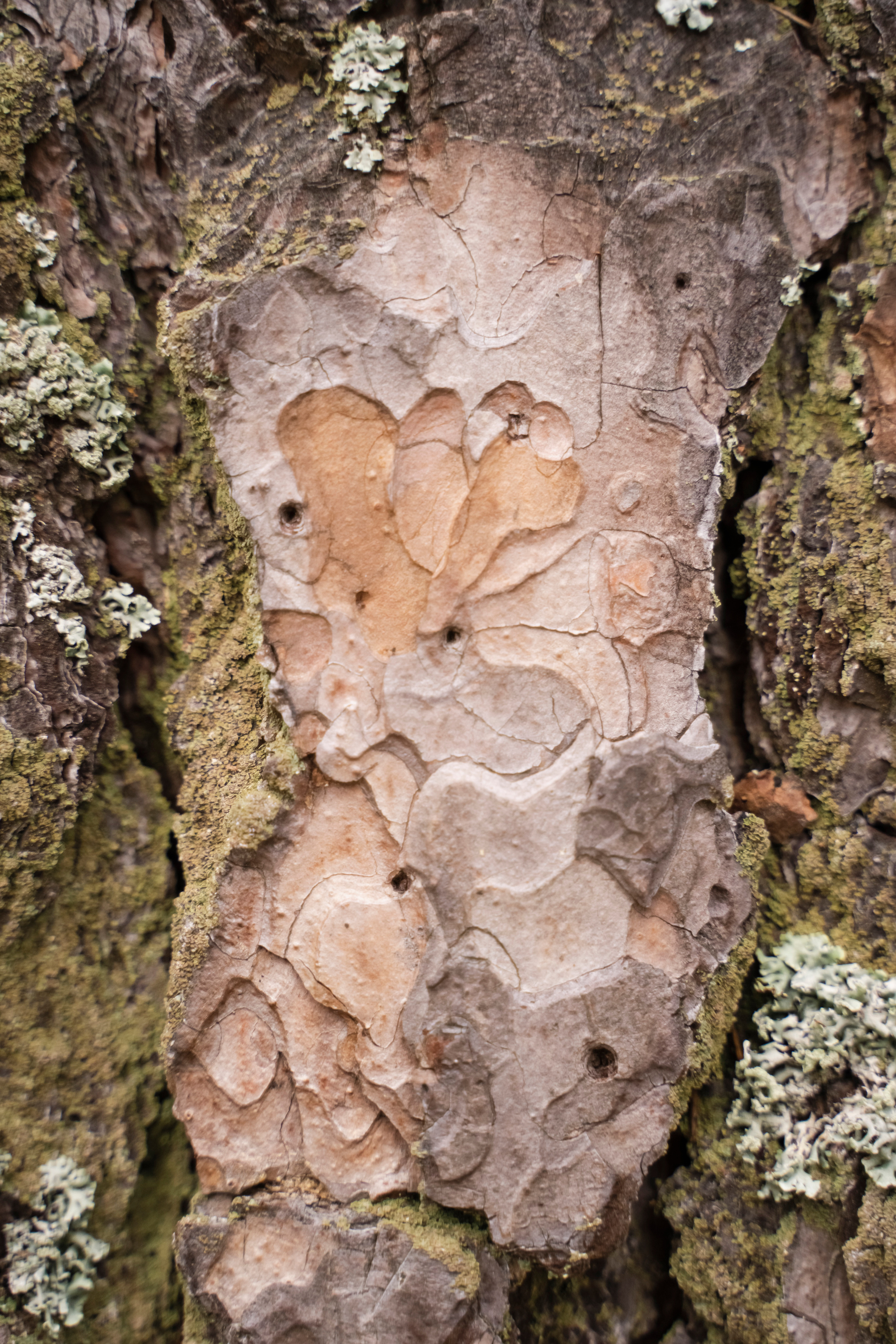 ЮЛИЯ И ВИКТОР. Семейный и детский фотограф в Москве