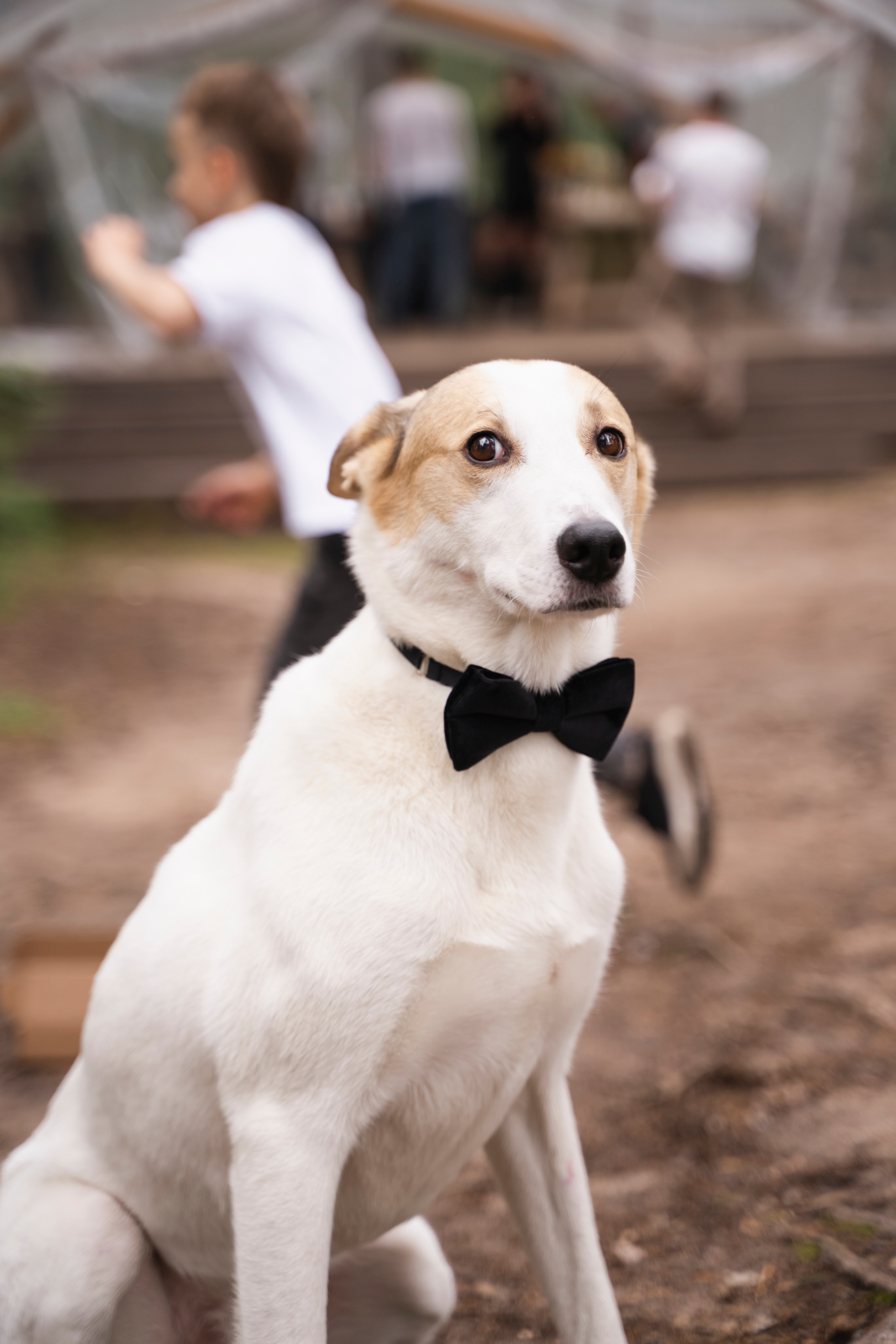 ЮЛИЯ И ВИКТОР. Семейный и детский фотограф в Москве