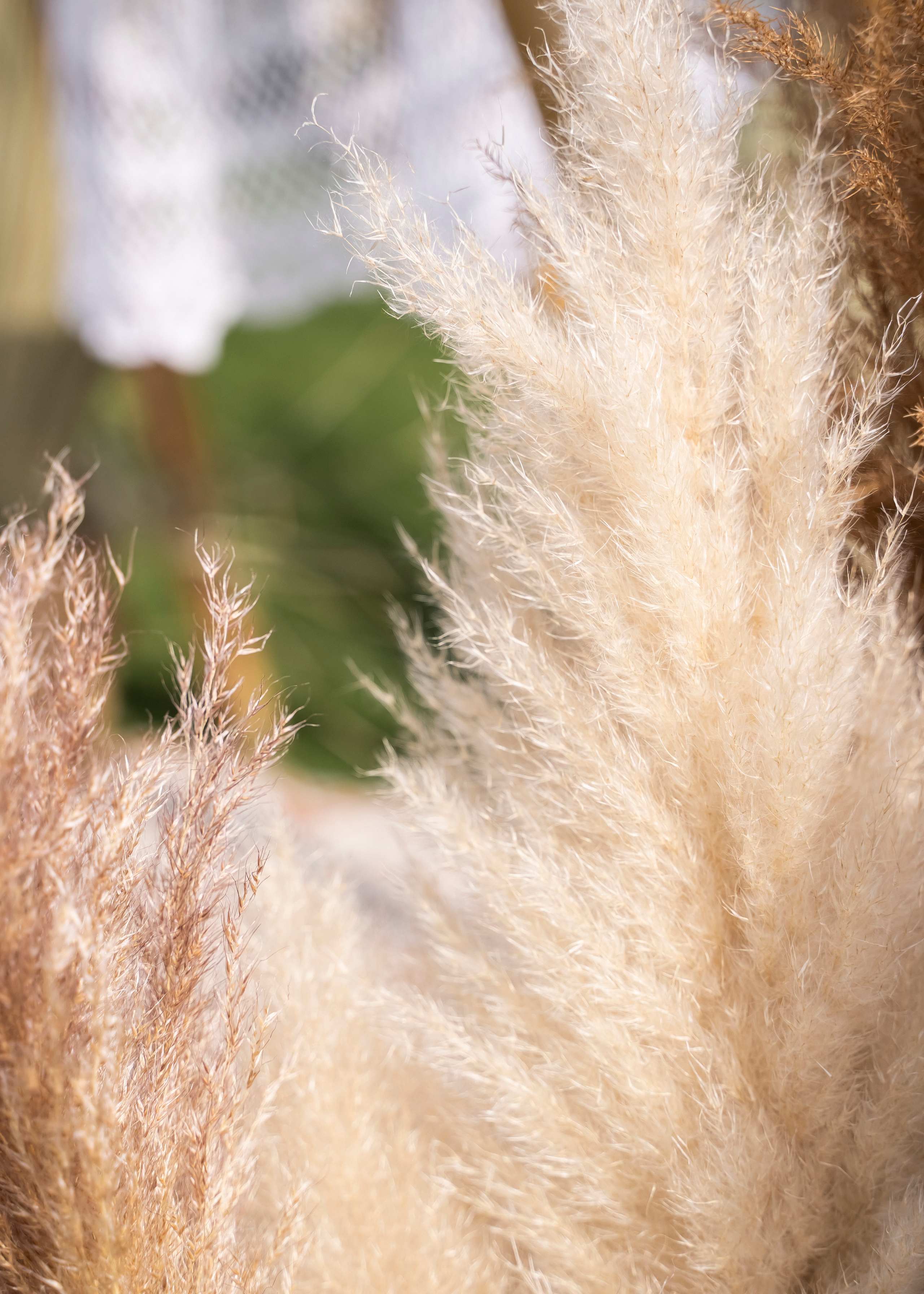 BOHO PARTY. Семейный и детский фотограф в Москве