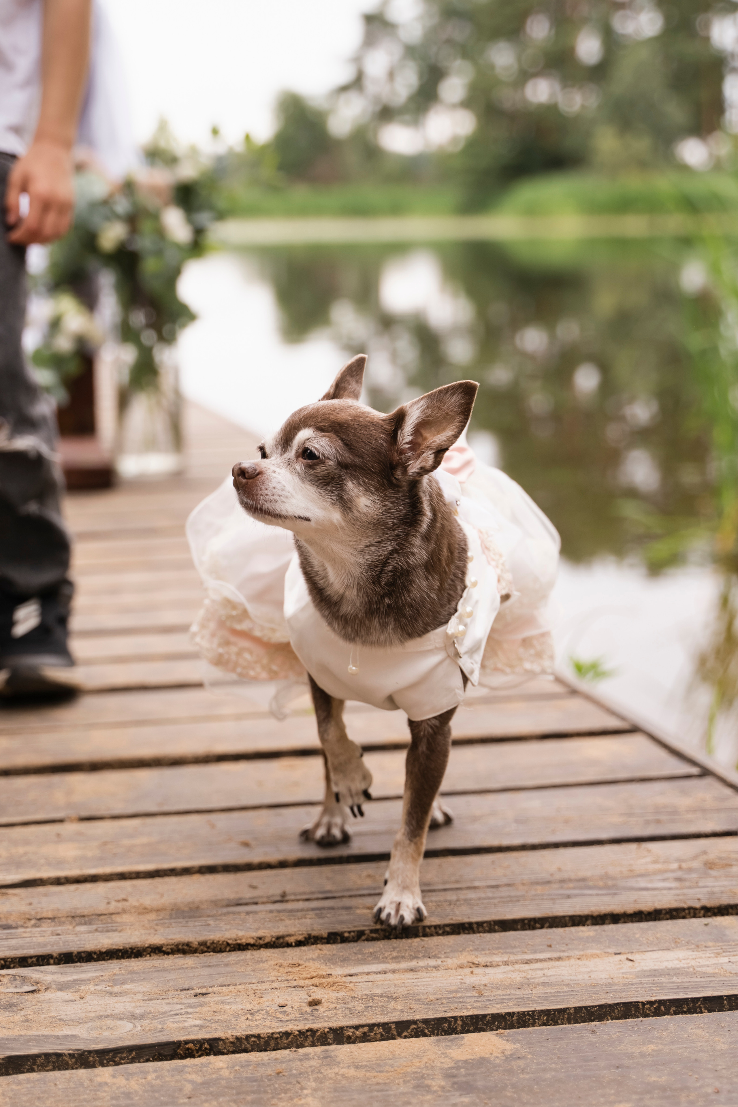 ЮЛИЯ И ВИКТОР. Семейный и детский фотограф в Москве