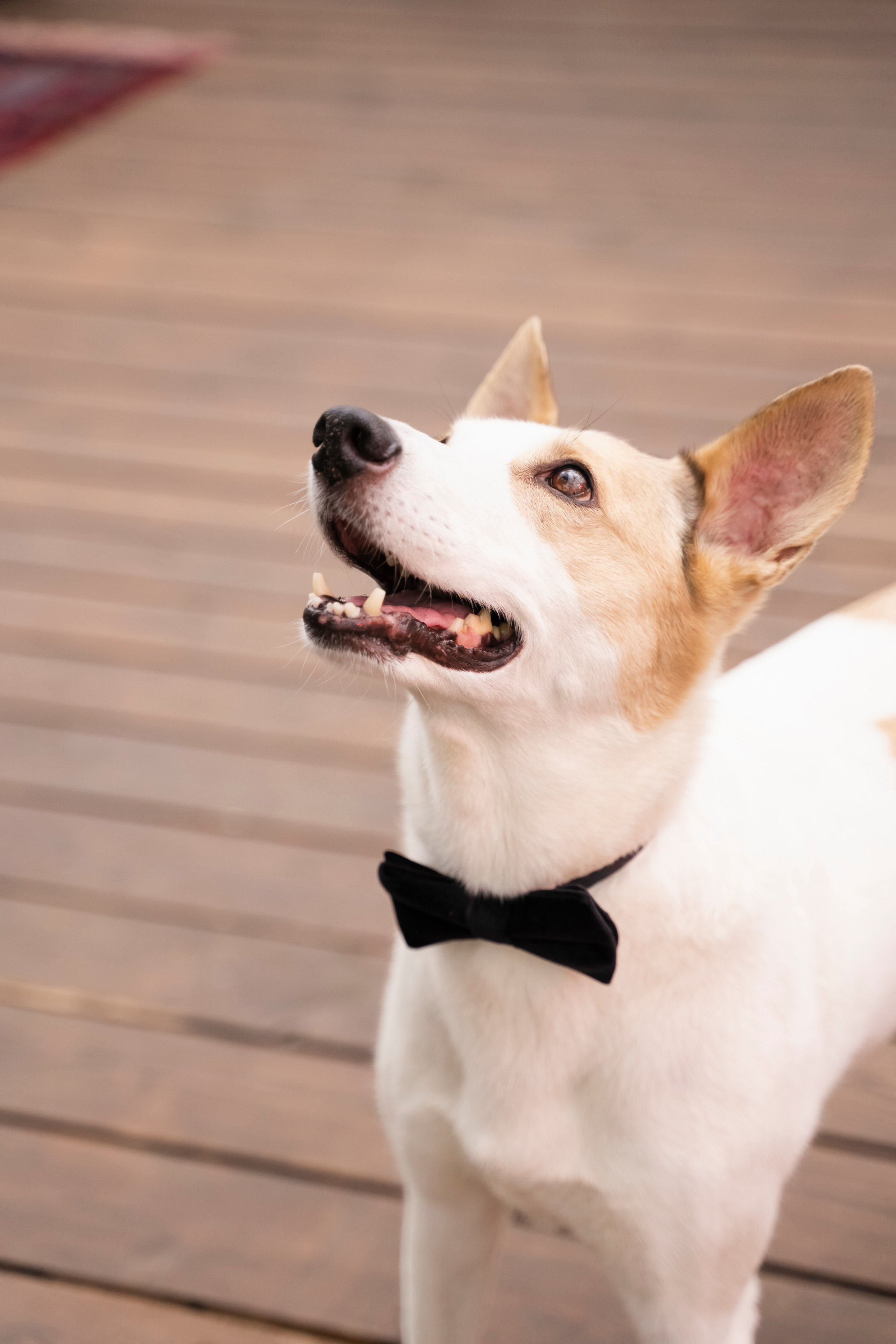 ЮЛИЯ И ВИКТОР. Семейный и детский фотограф в Москве