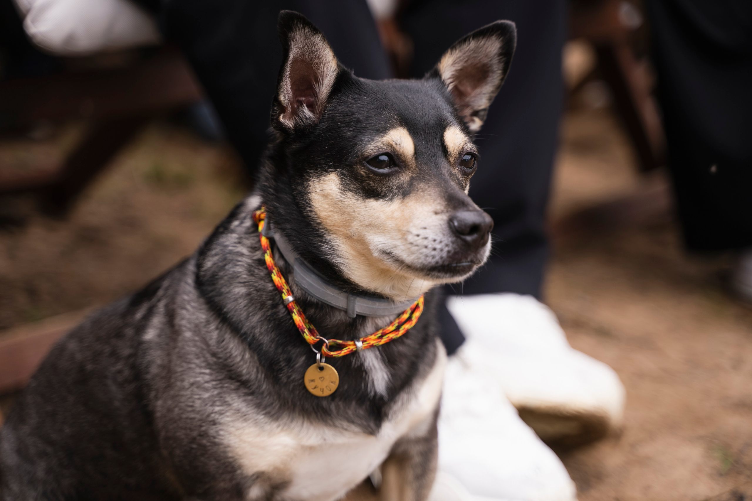 ЮЛИЯ И ВИКТОР. Семейный и детский фотограф в Москве