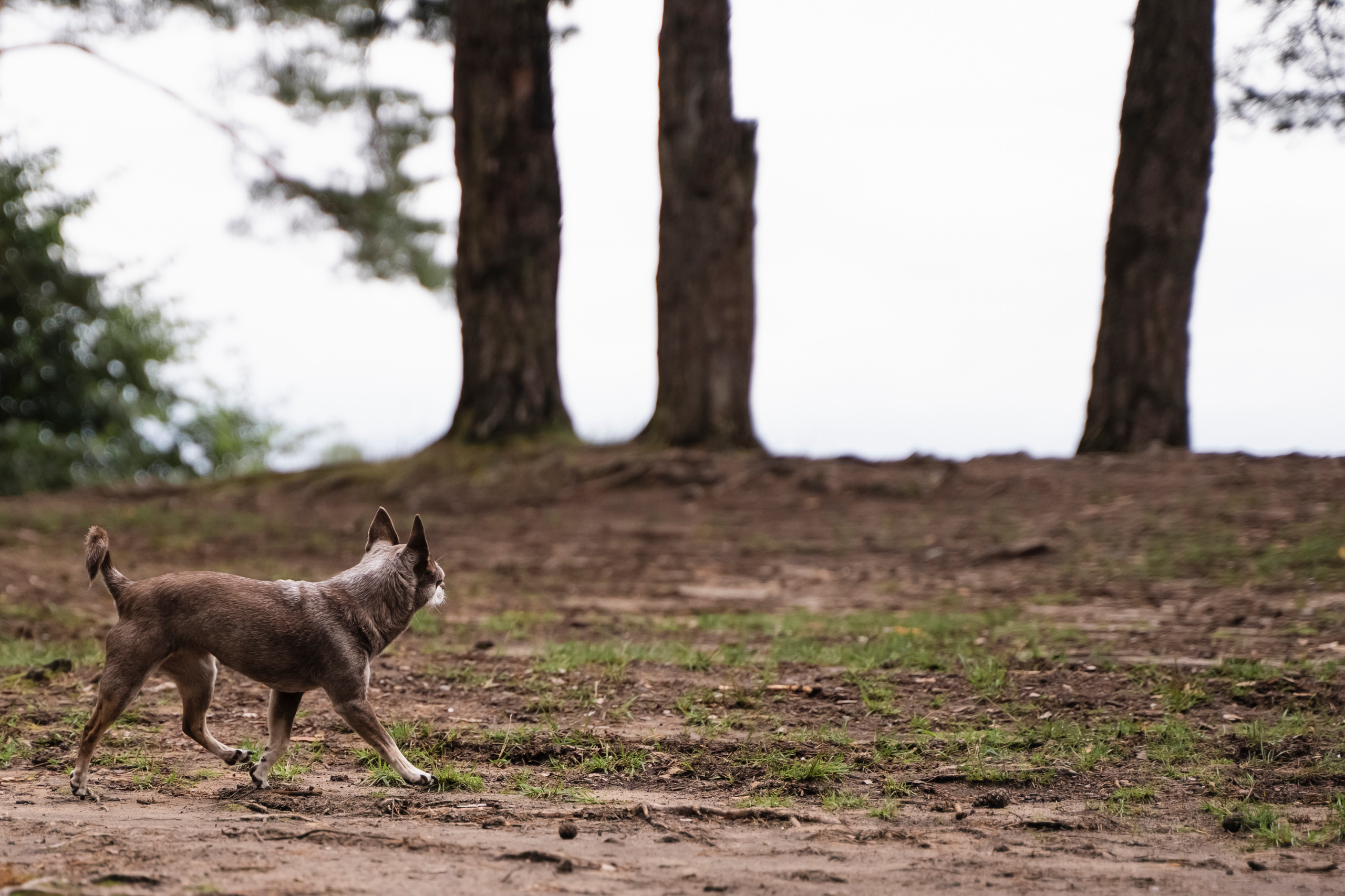 ЮЛИЯ И ВИКТОР. Семейный и детский фотограф в Москве