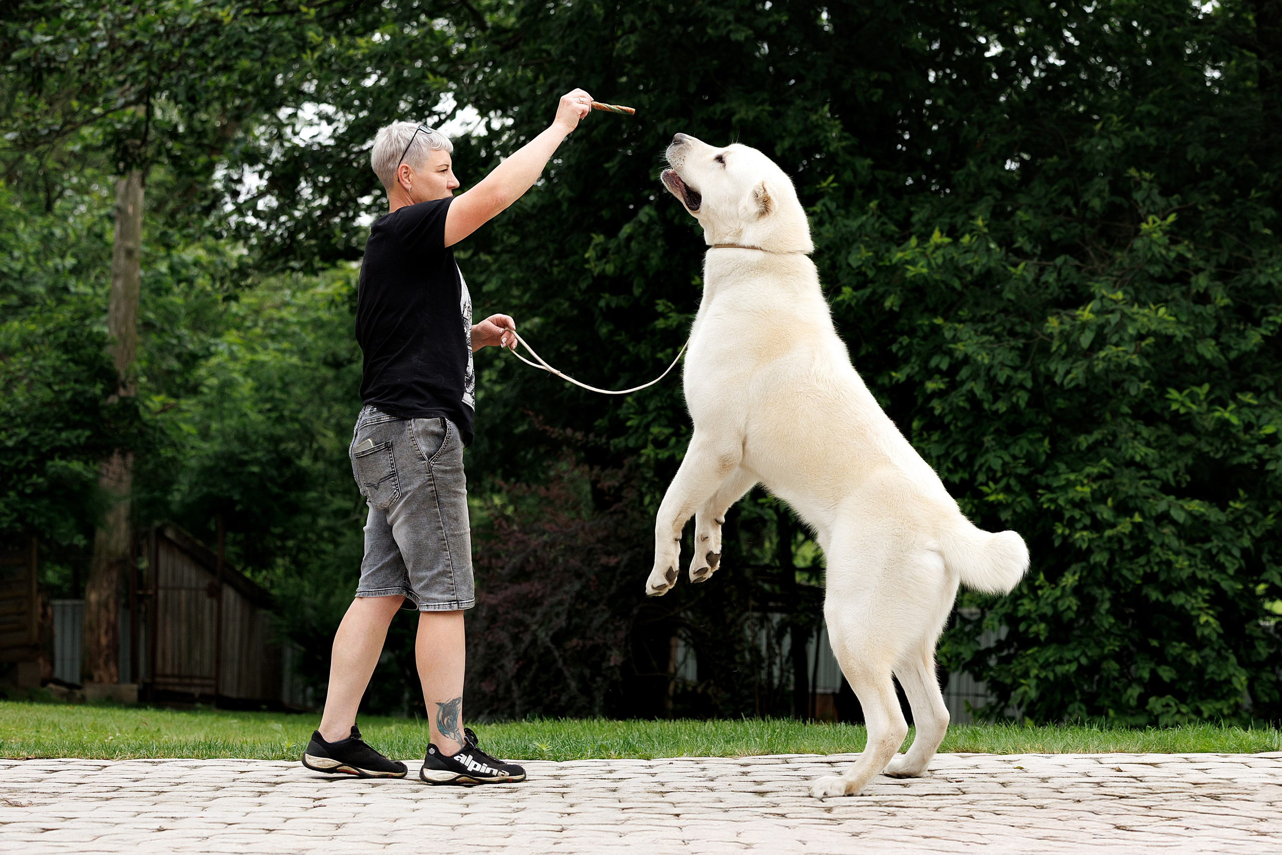 Портфолио: Фотосессии людей с собаками — душевные кадры. Фотограф-анималист и бренд-фотограф в Москве | Фотография собак, людей, бизнес-портрет