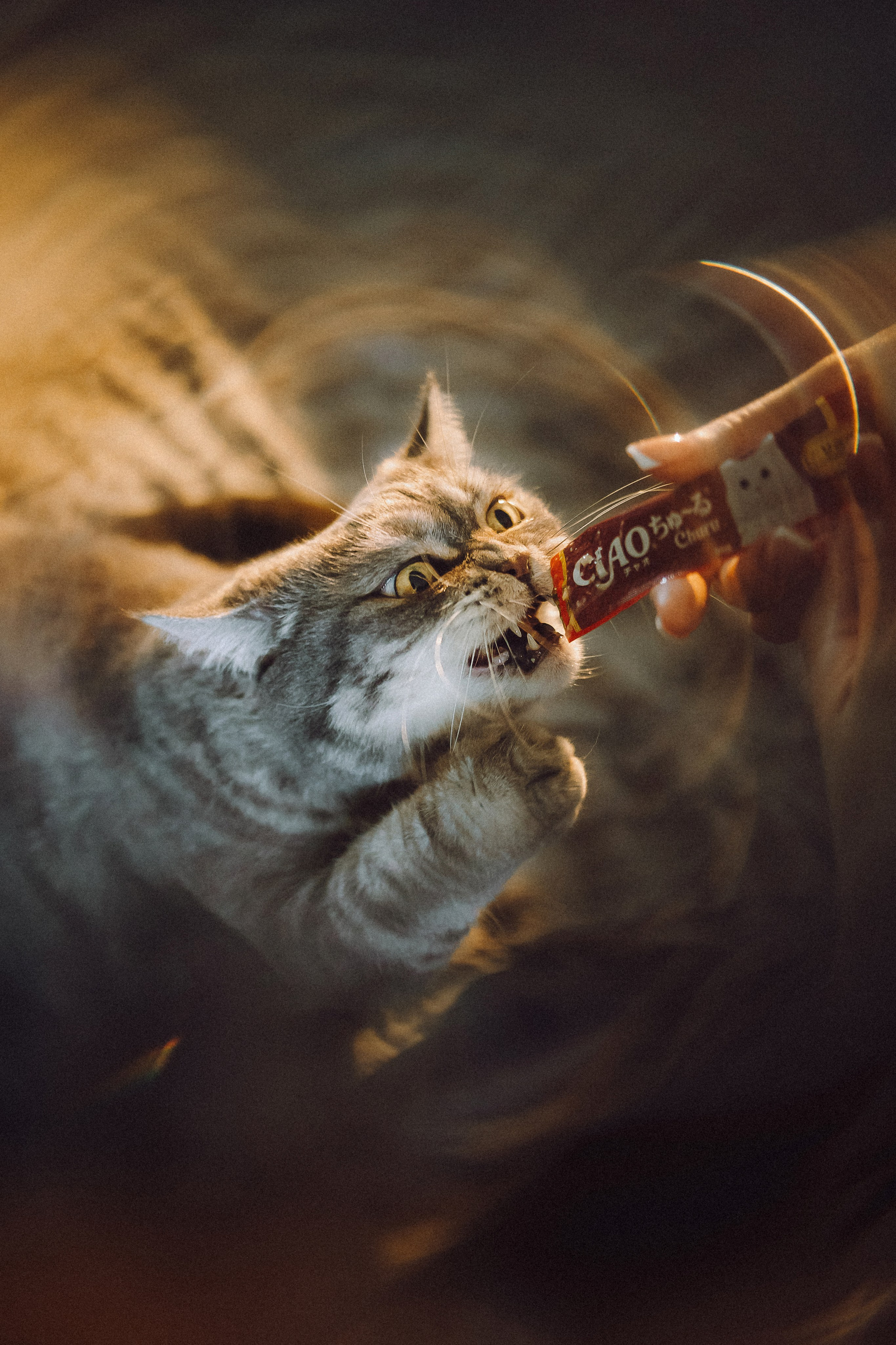 Яся и ее семья