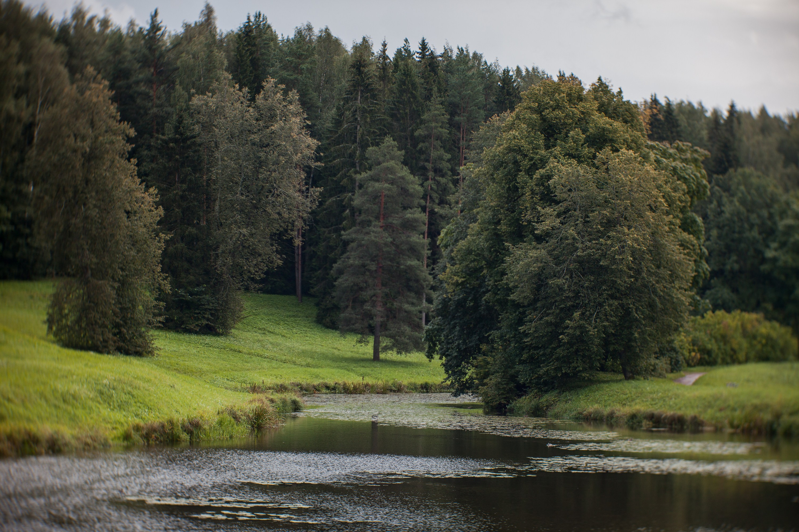Ландшафтная фотография. Туманов Виталий — фотограф Москва