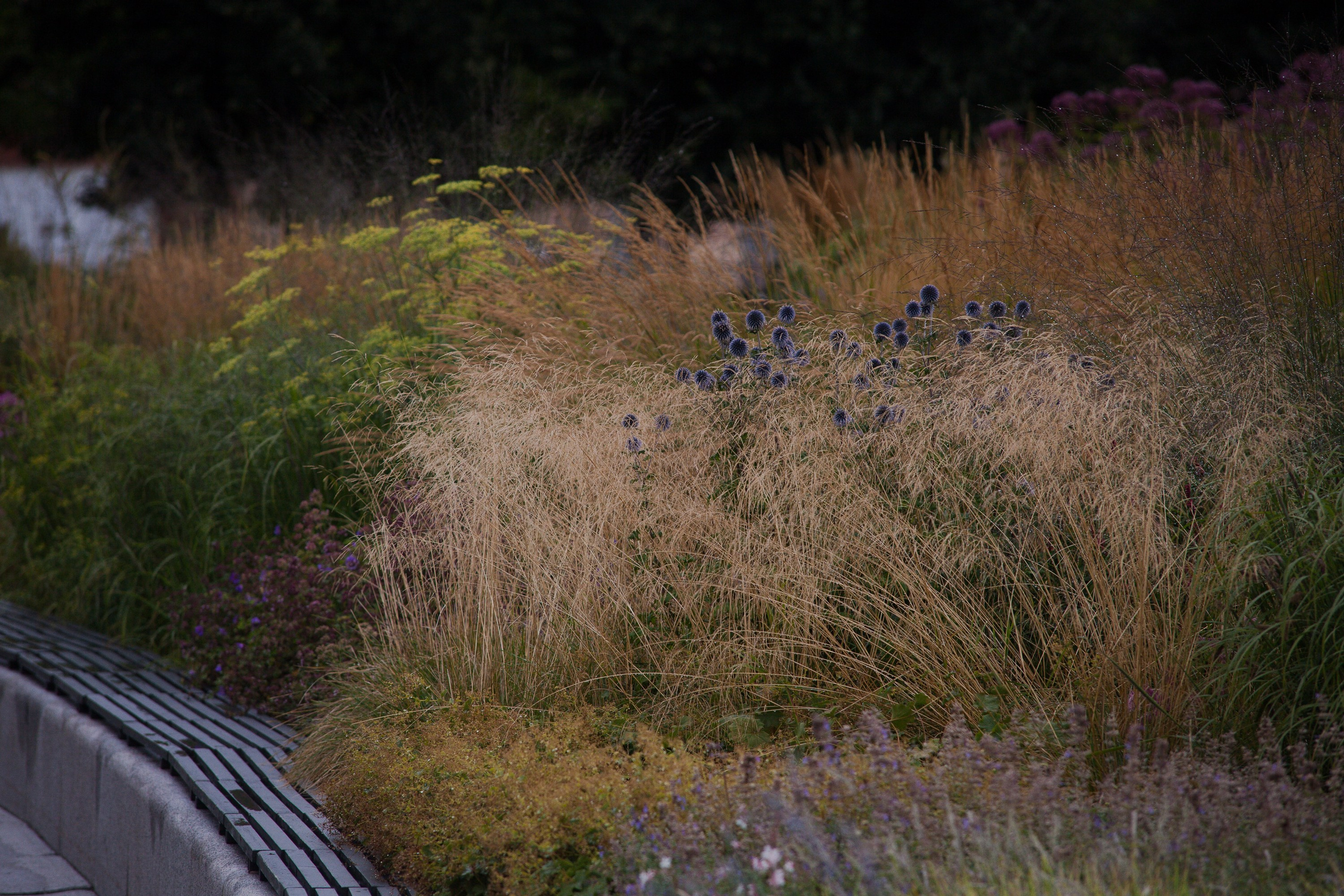 Новая Голландия — объект культурного наследия народов РФ федерального значения. Туманов Виталий — фотограф Москва