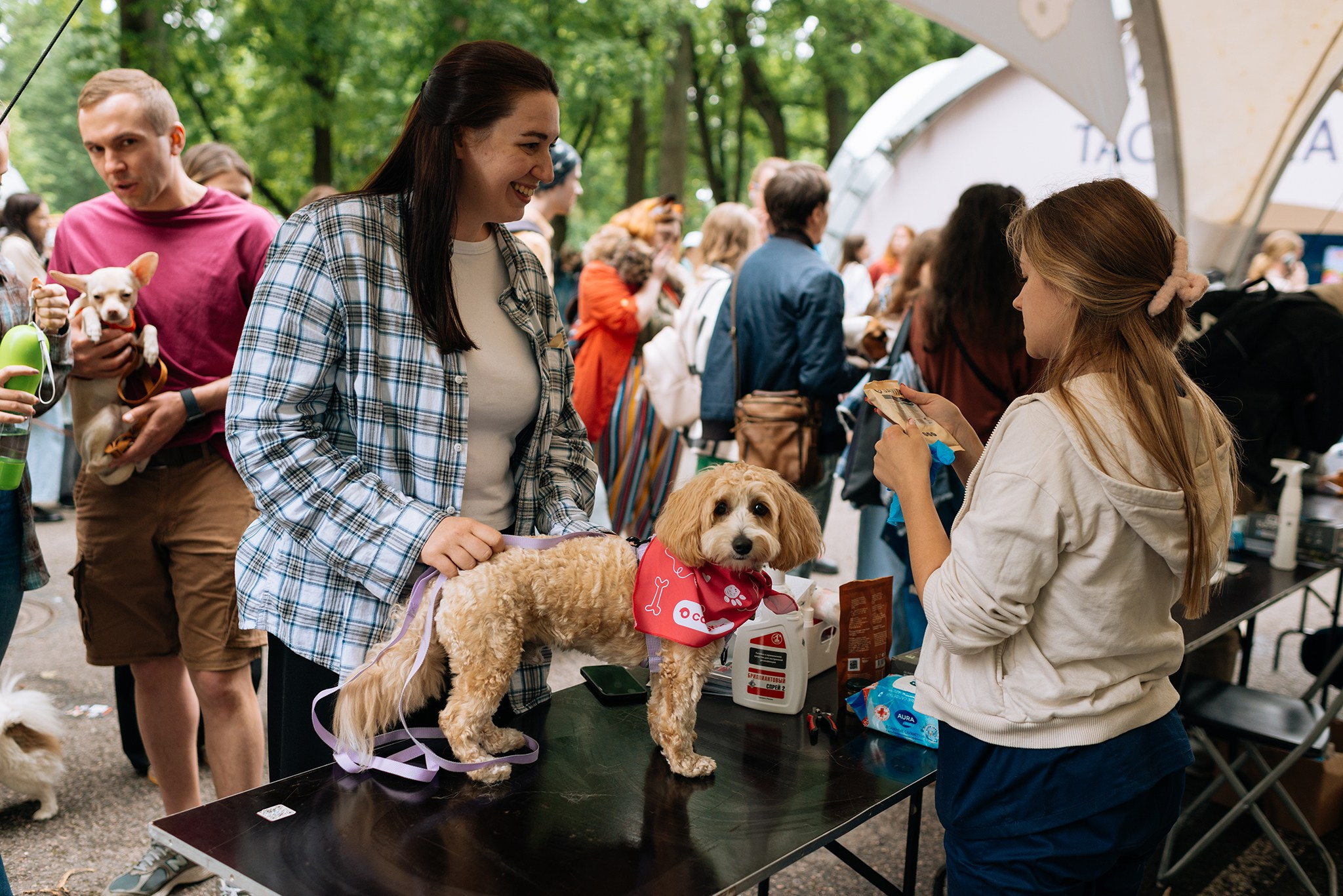 PETSHOP DAYS. Июнь 26. Репортажный фотограф в Санкт-Петербурге Анастасия Клёпова
