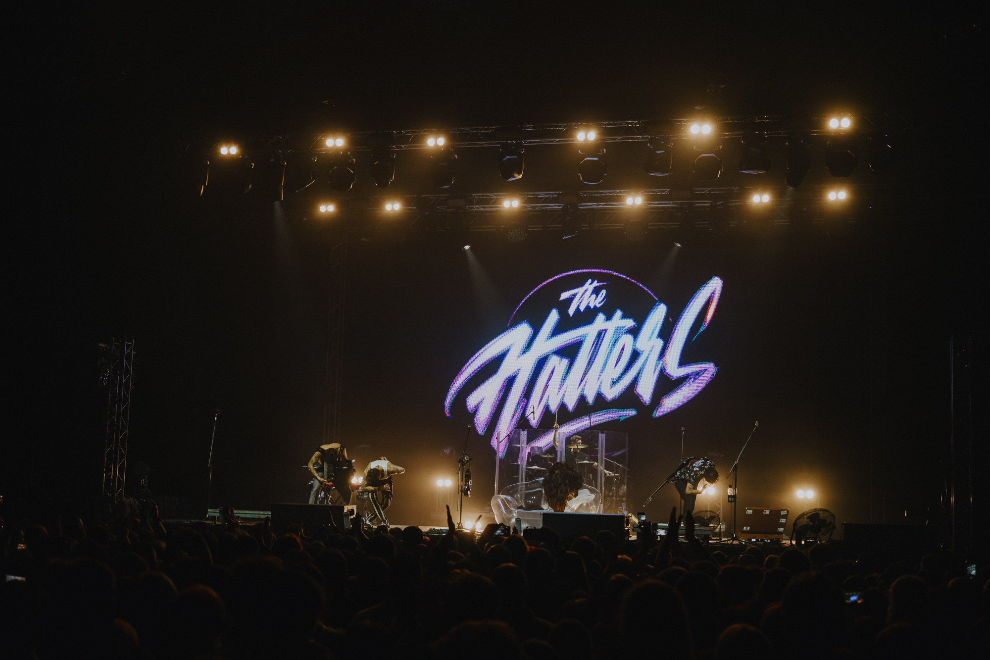 Шляпники. 10 лет группе. Свадебный и репортажный фотограф Павел Царьков