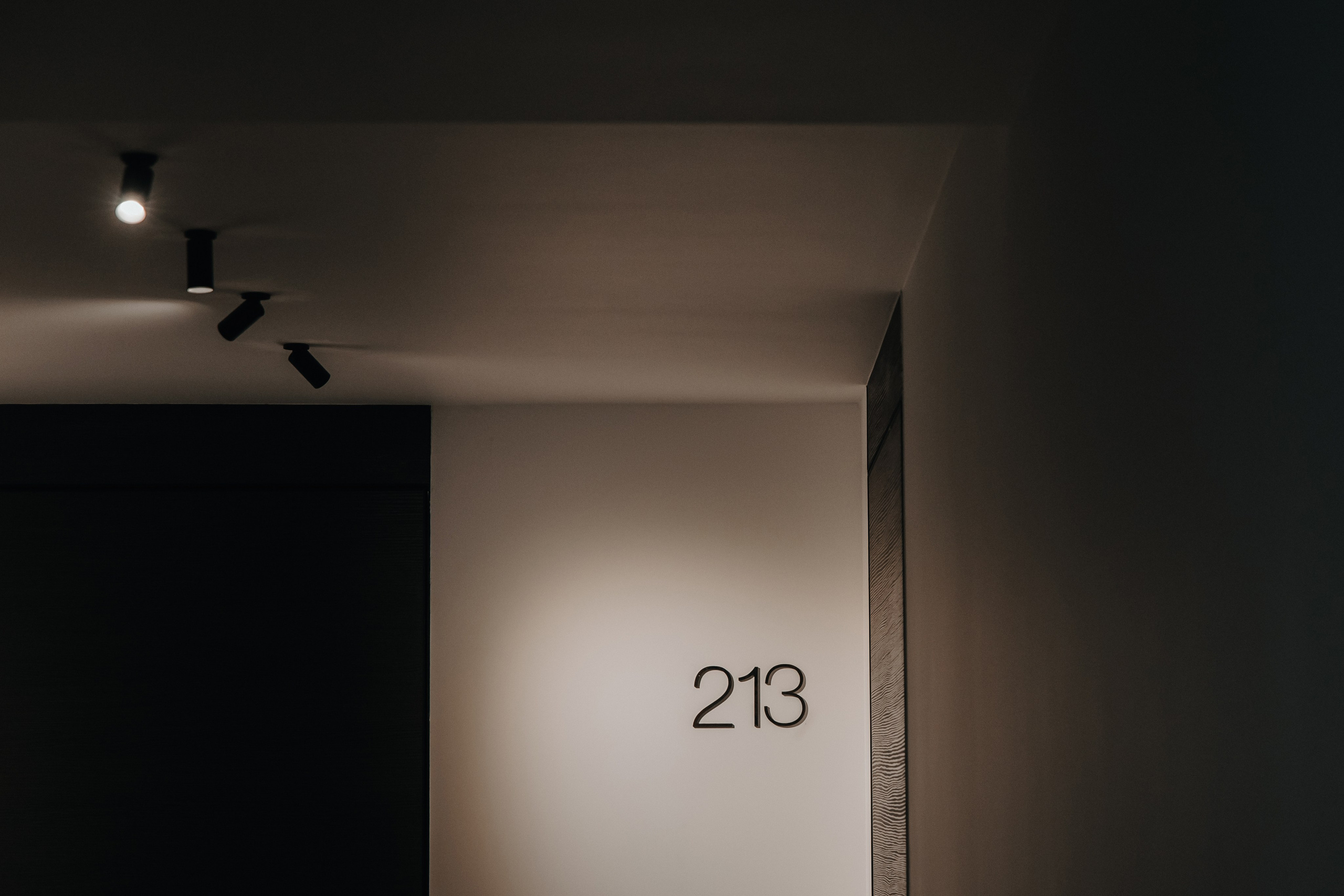 Саша и Саша. Свадебный фотограф и видеограф Когай Дмитрий и Юлия