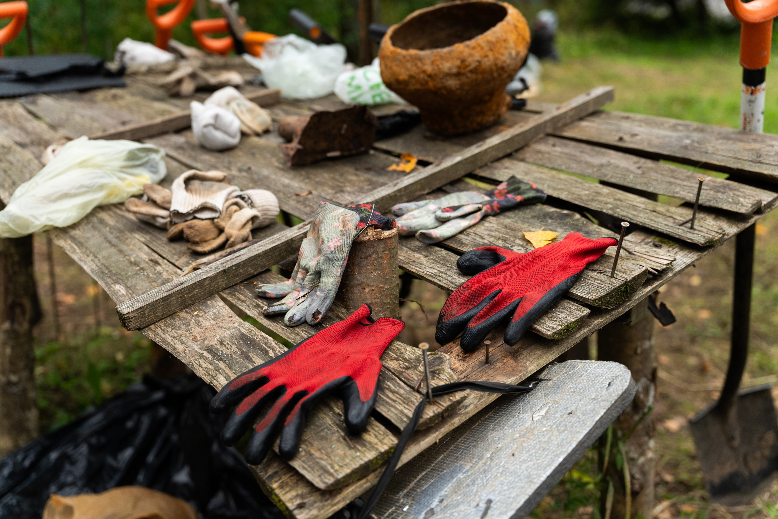 Роспатриот. Photographer | Moscow | Daria Novikova