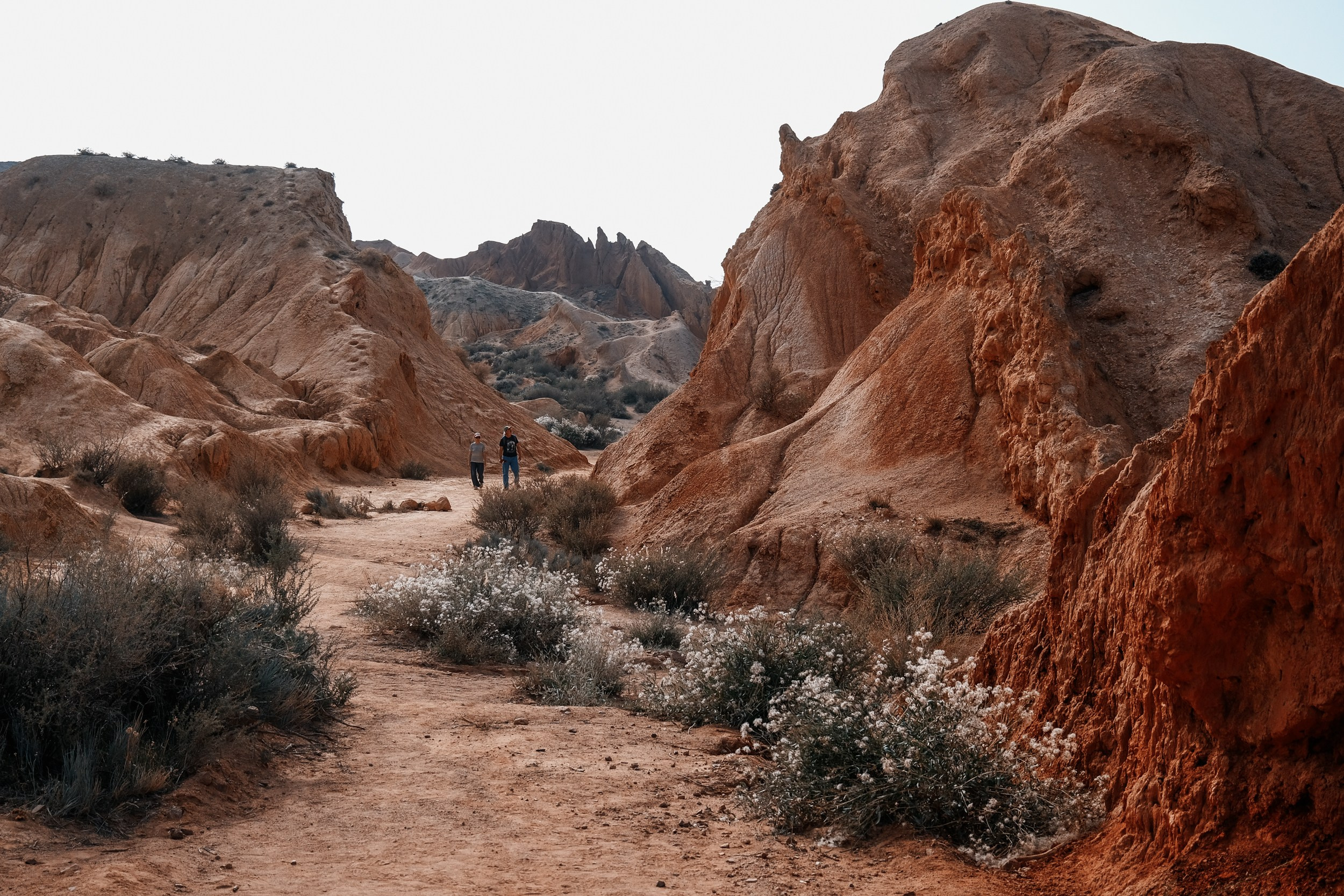 Кыргызстан. Фотограф Дмитрий Олрайт | Калуга, Россия